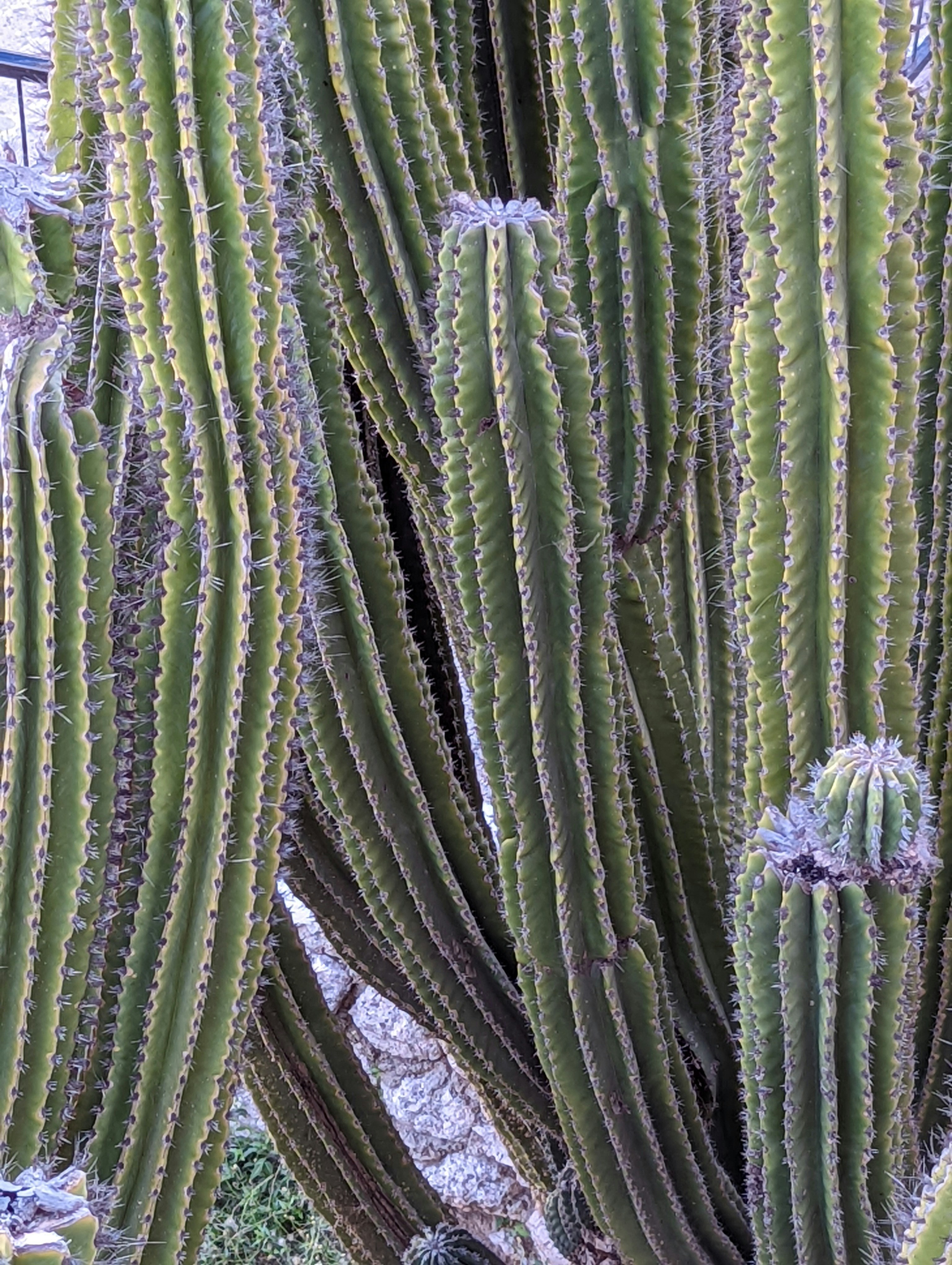 Photo by scottywatty