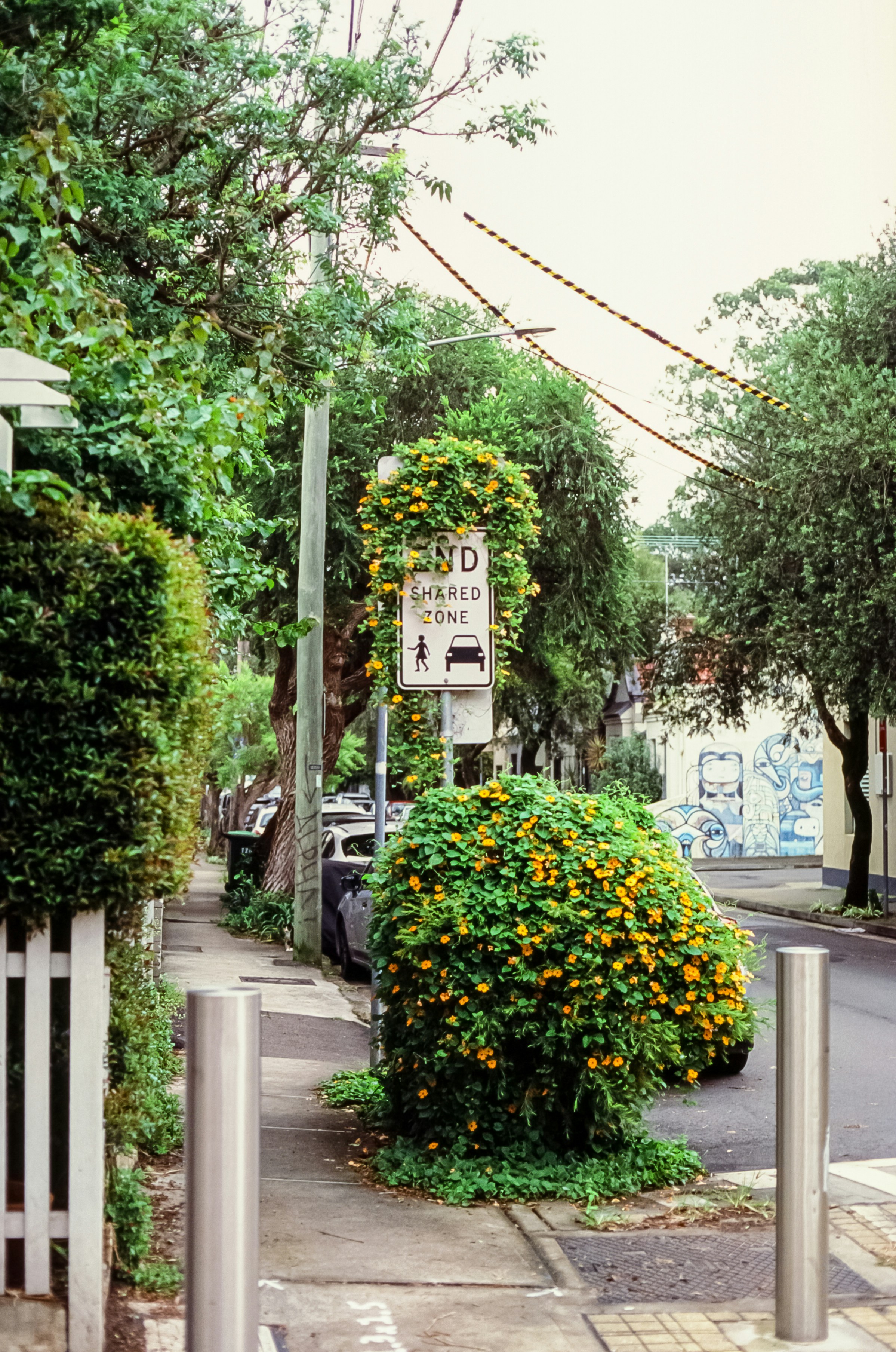 Photo by saxon_white