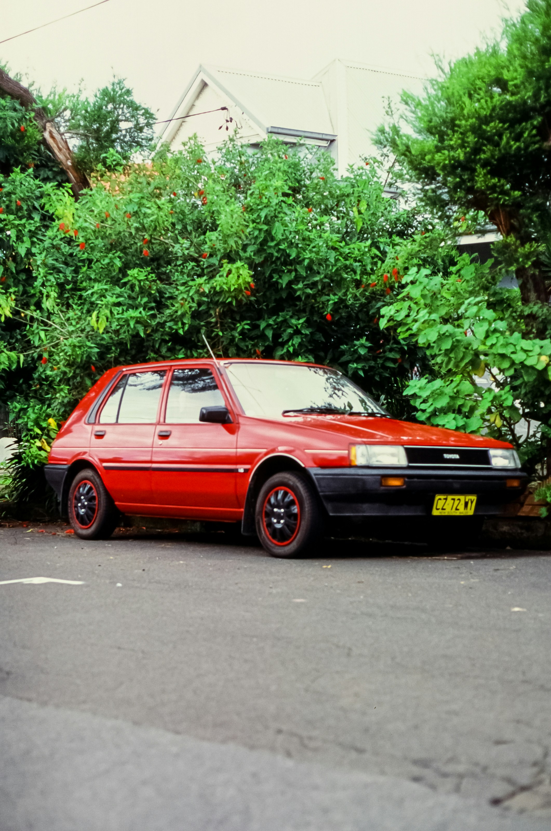 Photo by saxon_white