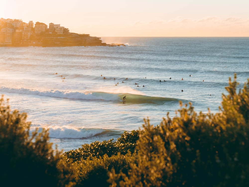 Eine Person, die auf einem Surfbrett auf einer Welle im Meer fährt