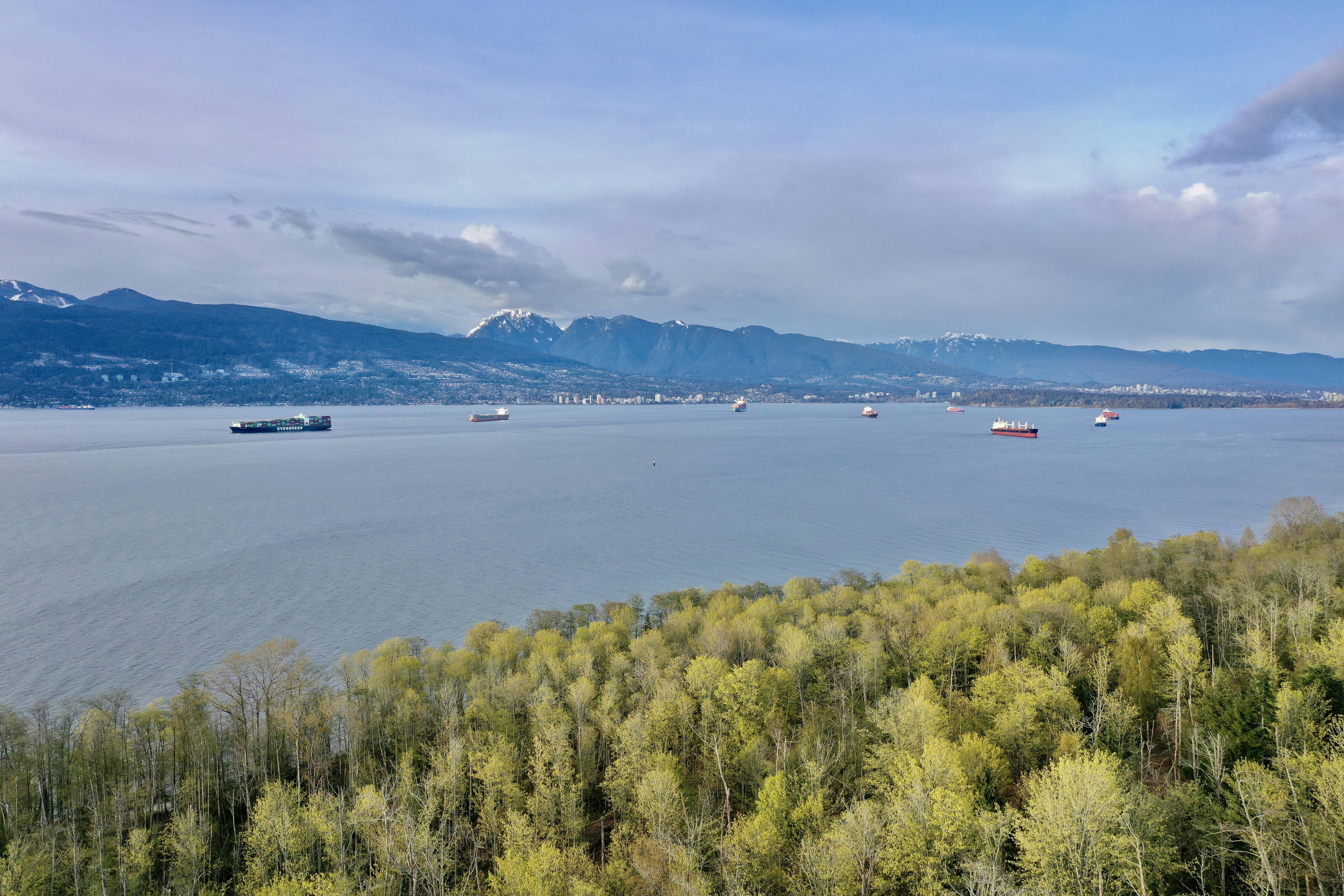 una gran masa de agua rodeada de árboles
