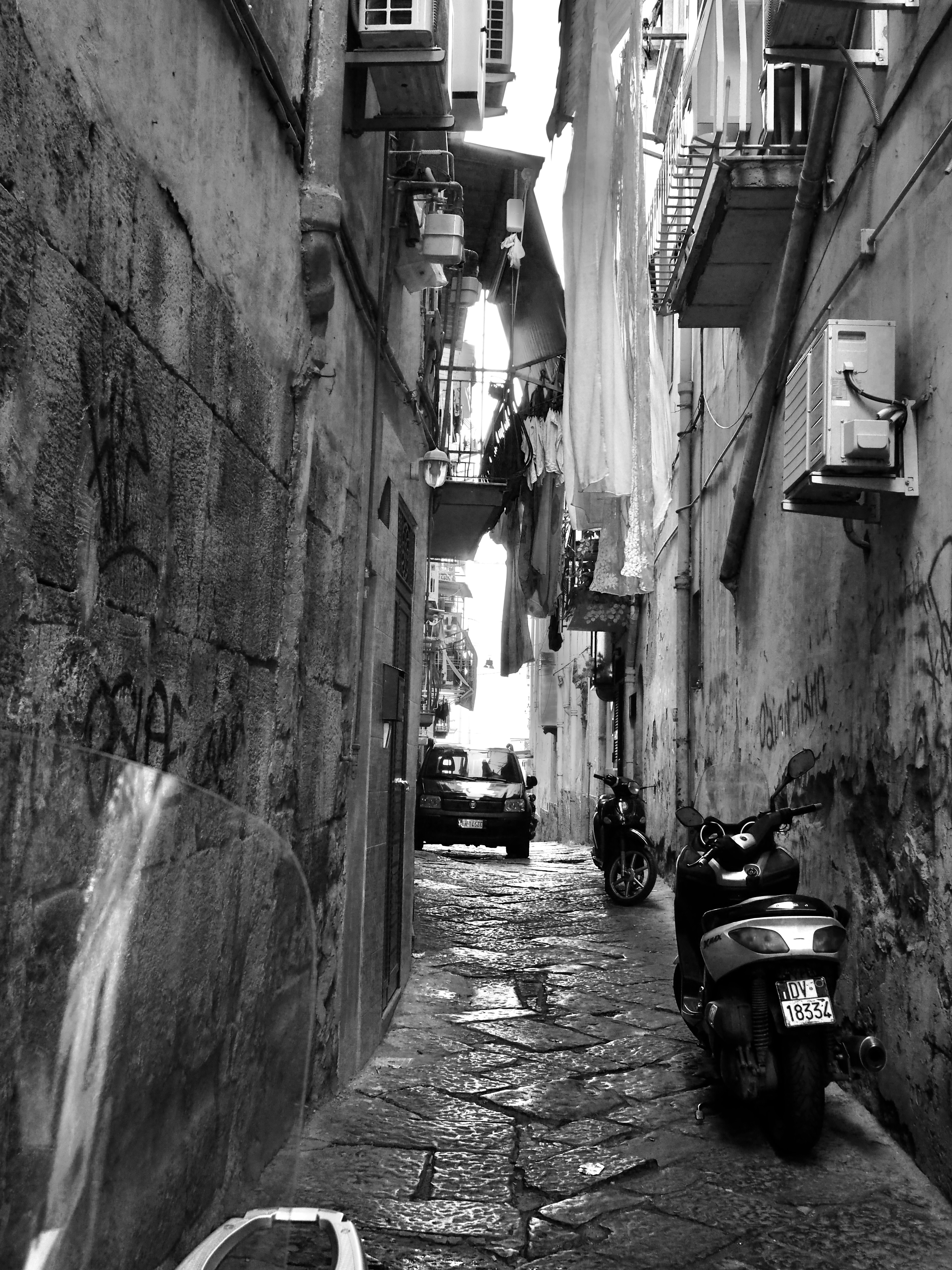 Photo by cerberus44233