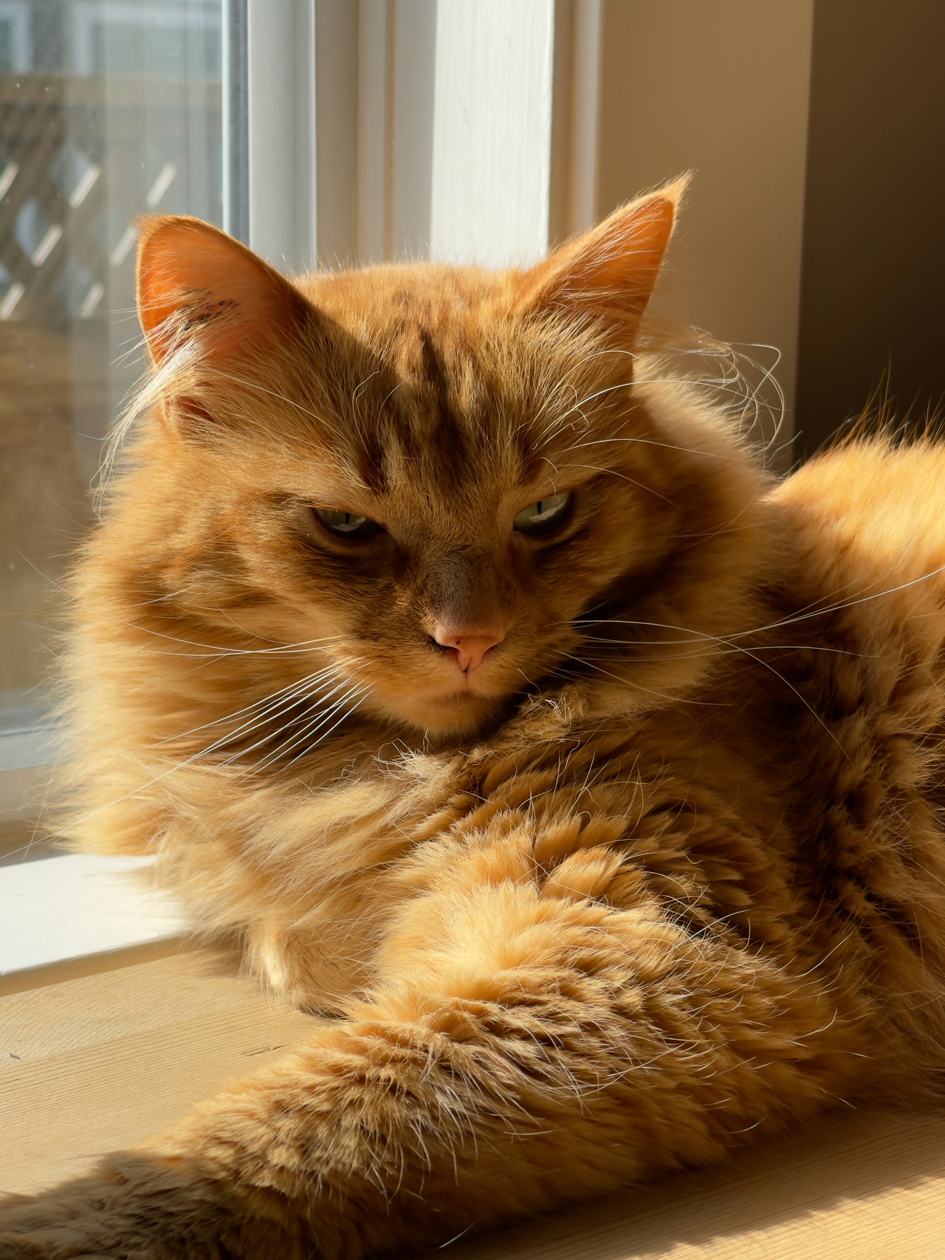 Photo by sawtooth_utopia