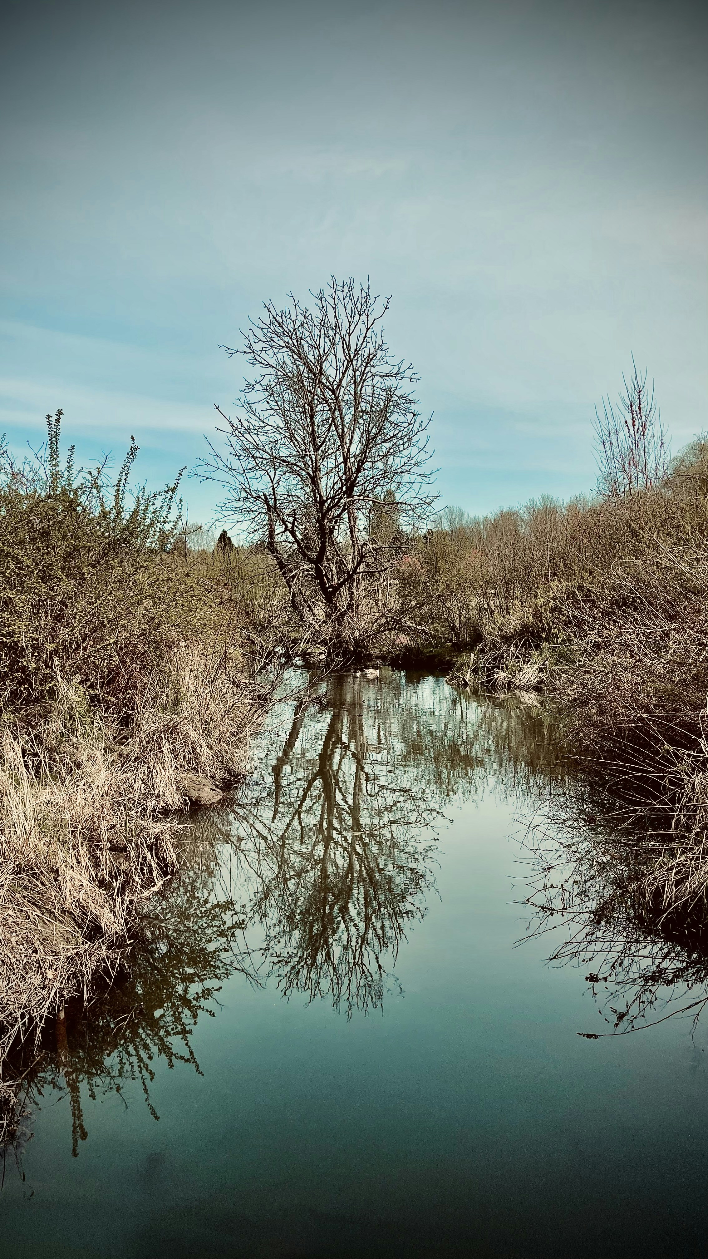 Photo by vickniculae