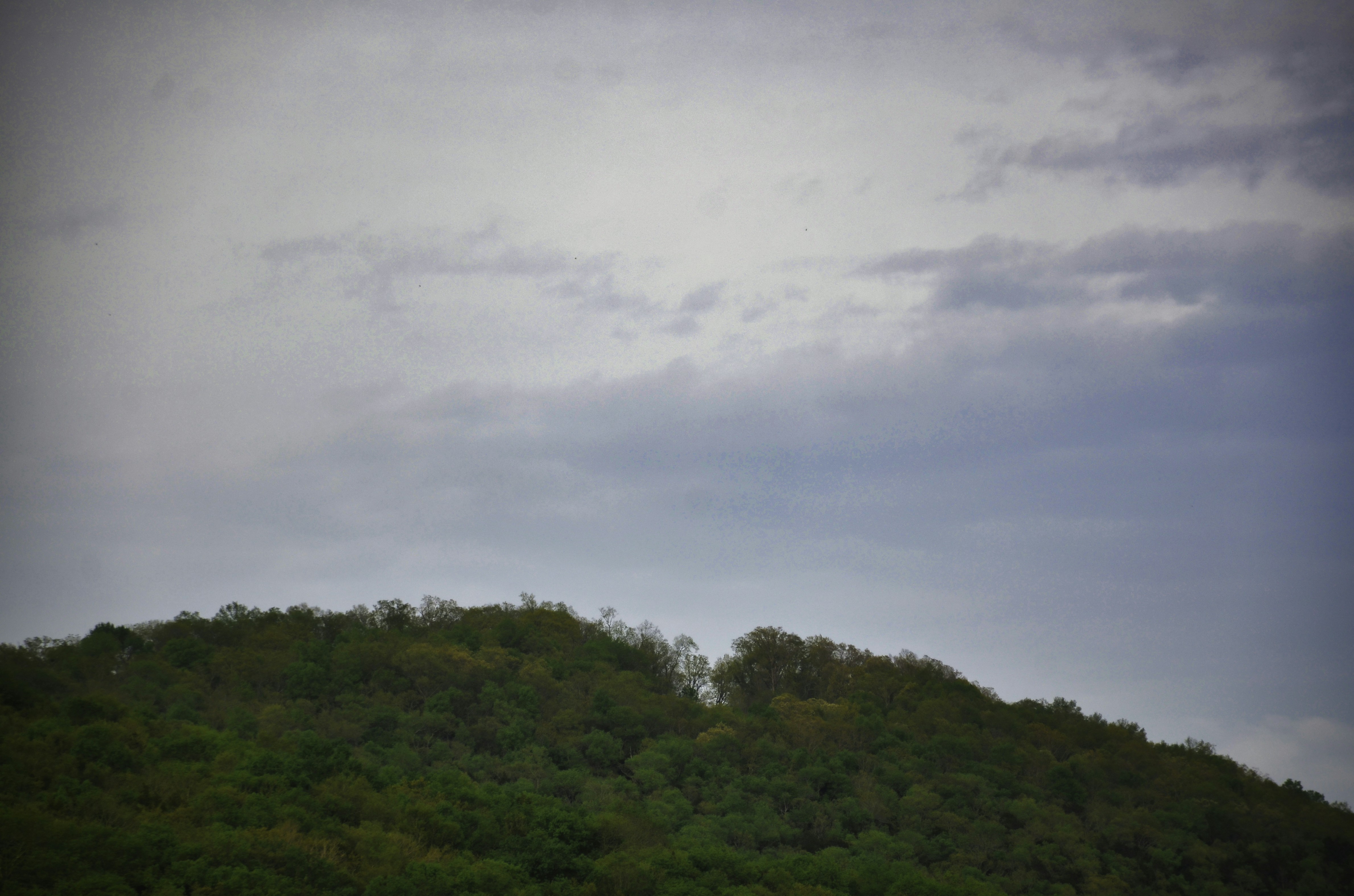 Photo by david_young