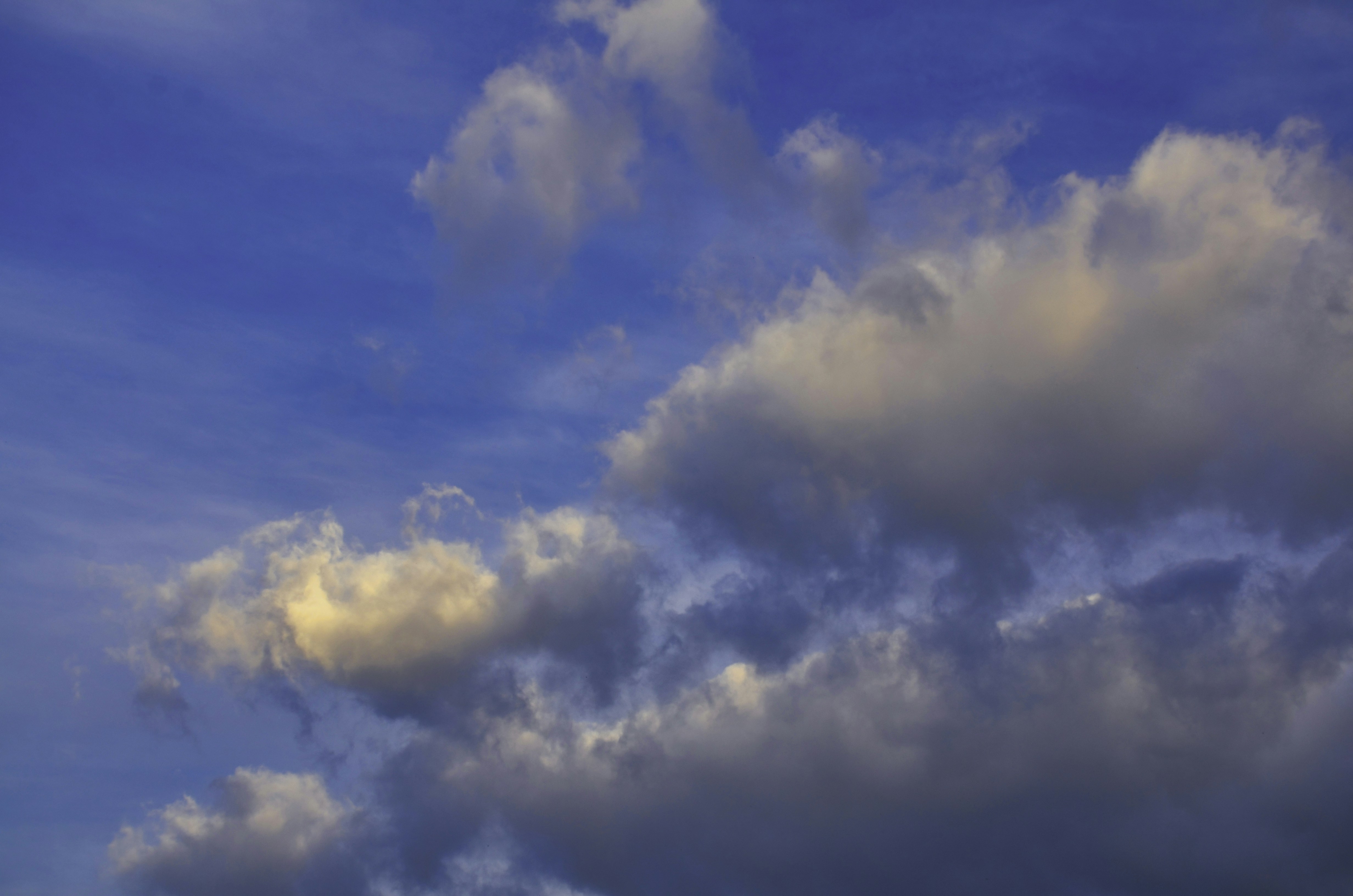 Photo by david_young