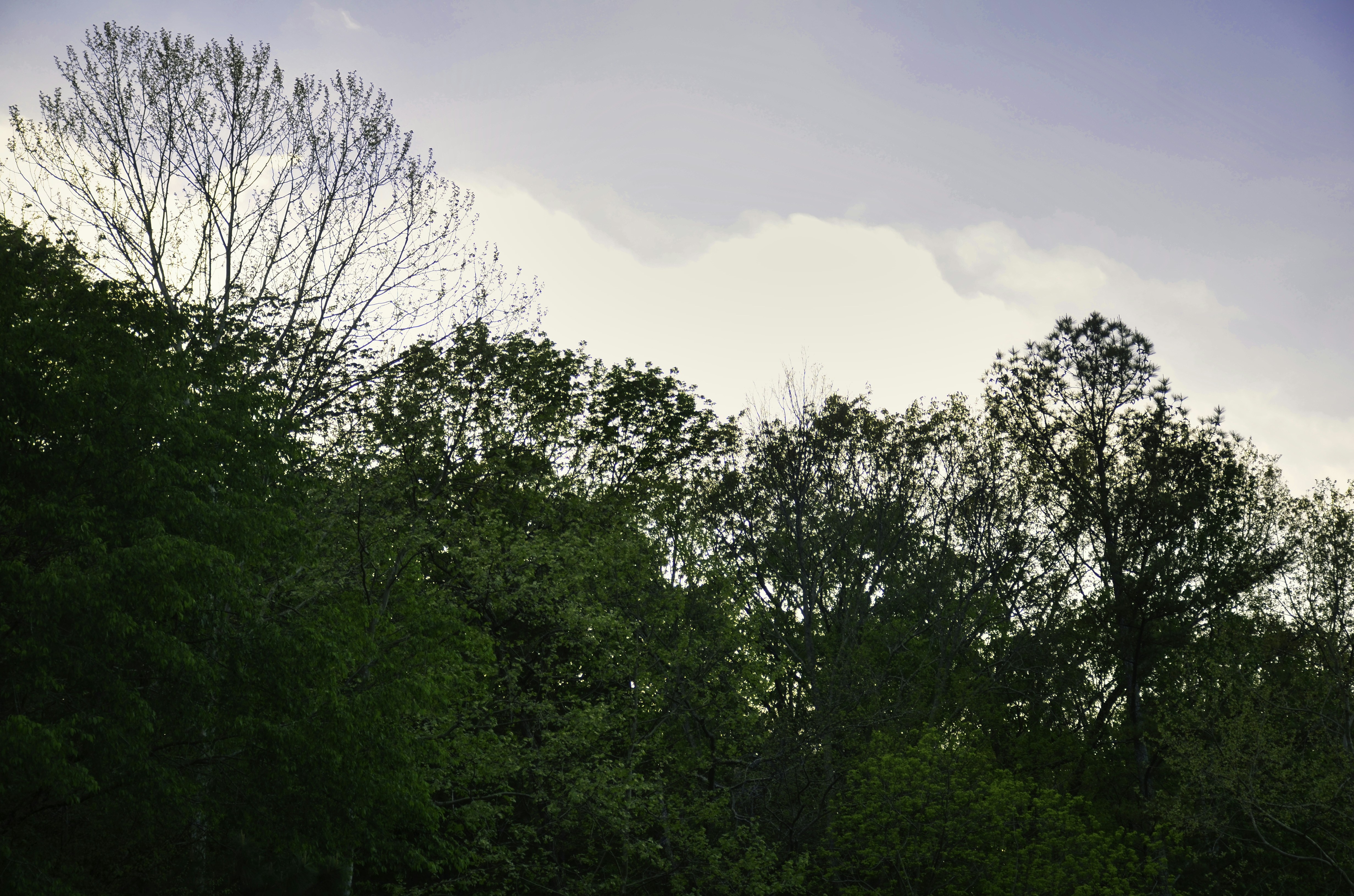 Photo by david_young