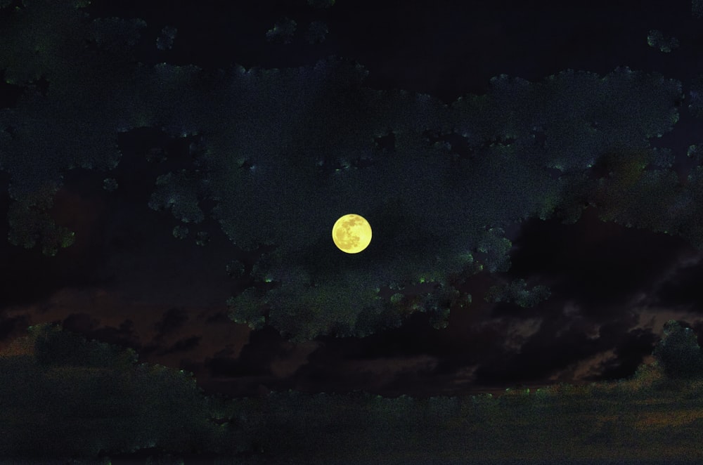 Una luna llena se ve en el cielo nocturno