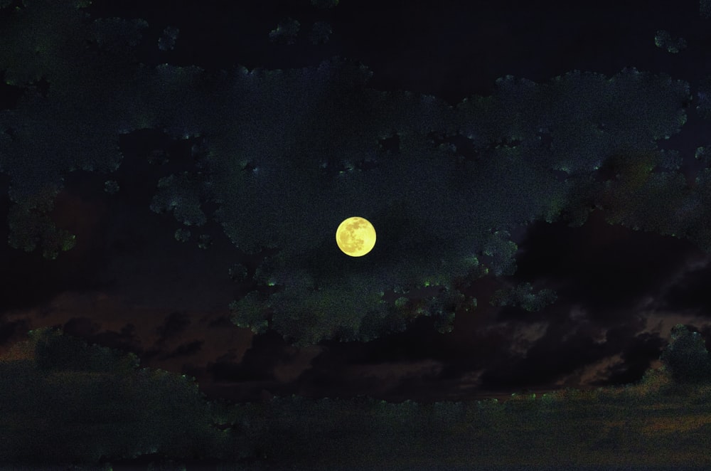 a full moon is seen in the night sky