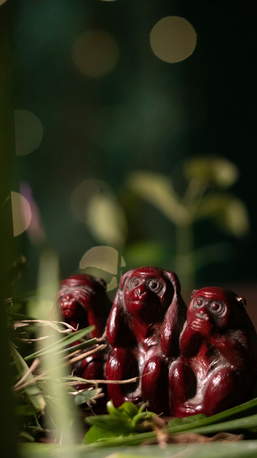 a group of small red birds sitting on top of a green plant