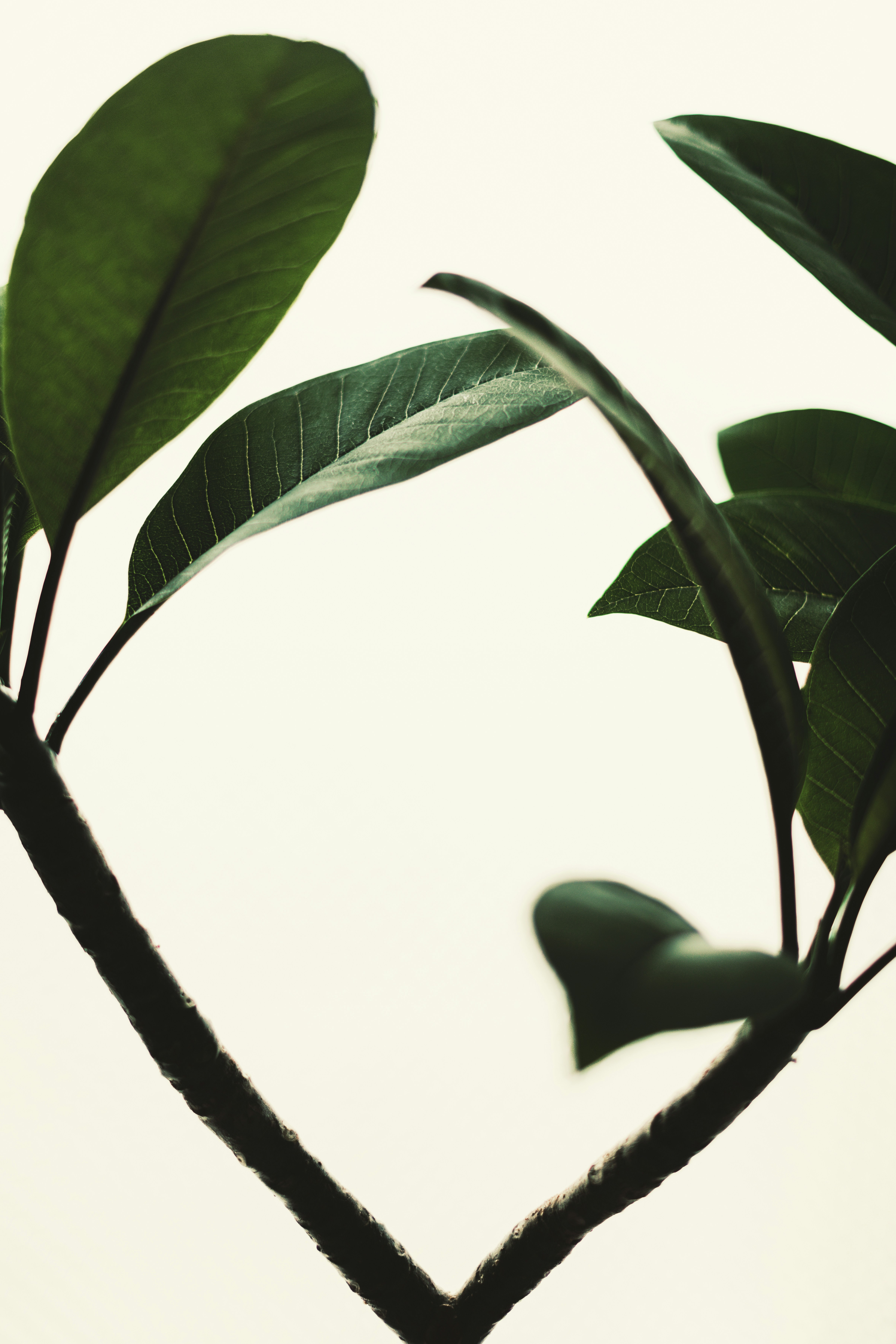 Photo by timmossholder