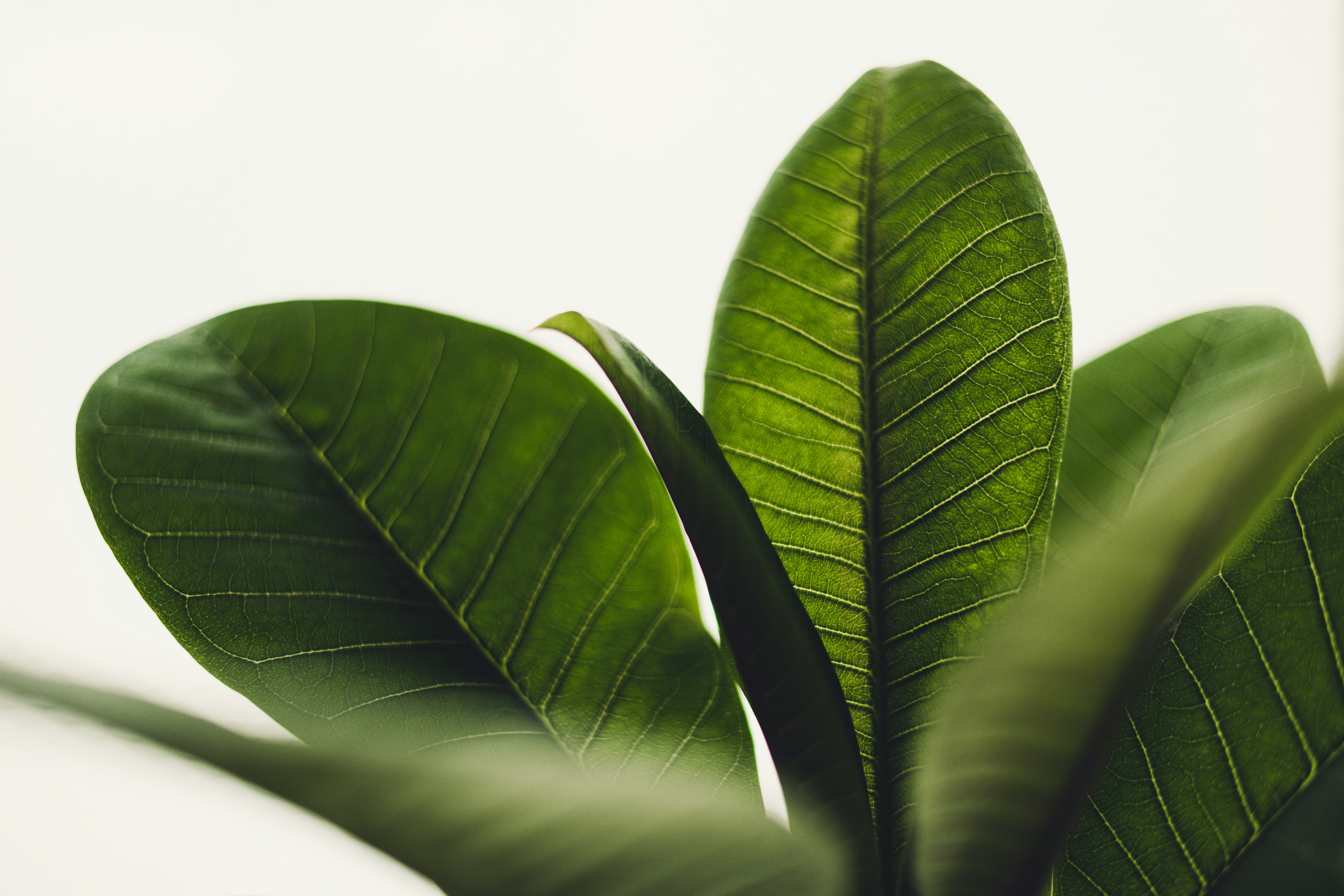 Photo by timmossholder