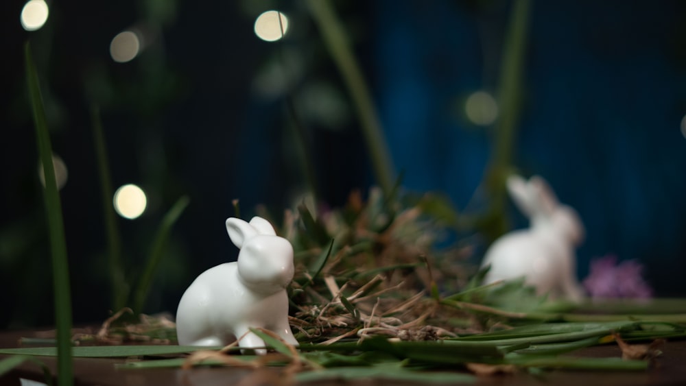 a couple of small white rabbits sitting on top of a pile of grass