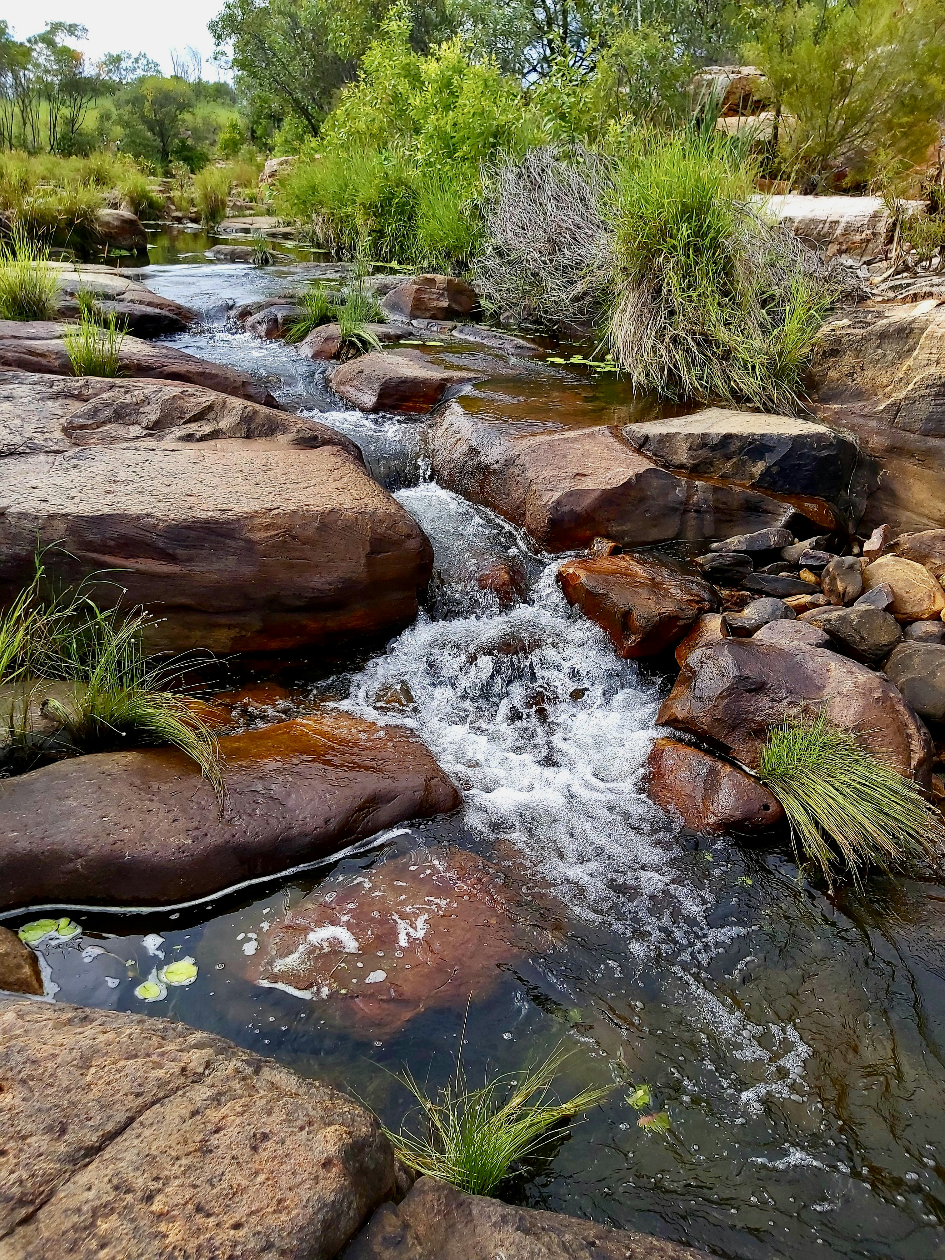 Photo by isabelle_sydney