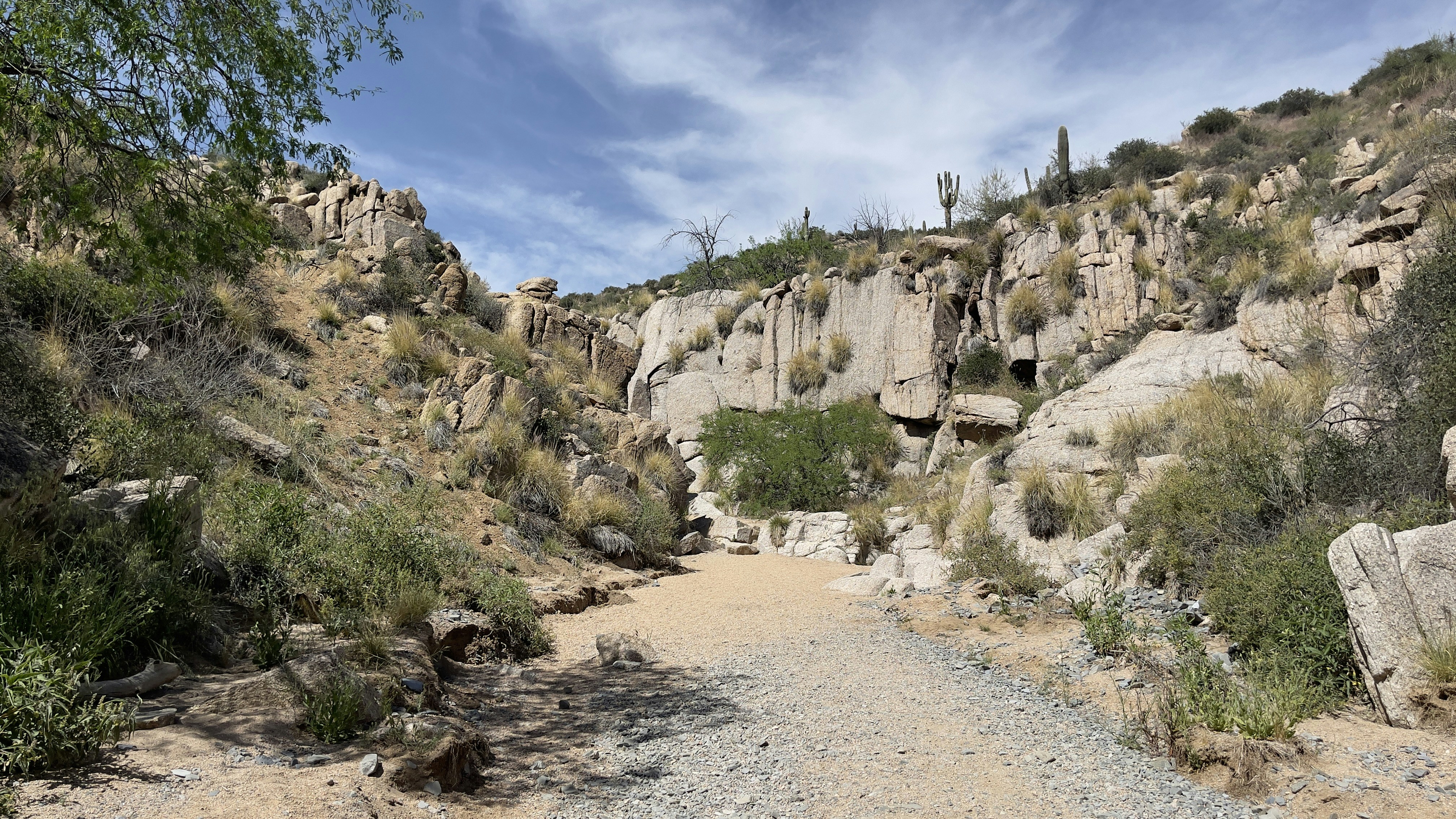 Photo by tavendiorio