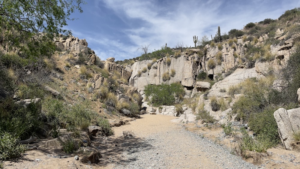 un chemin de terre entouré de rochers et d’arbres