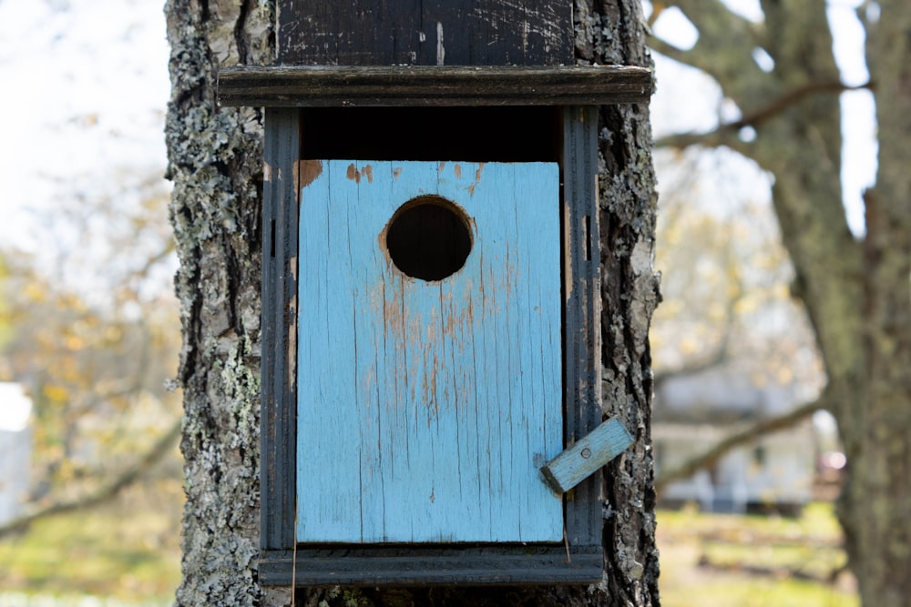 a blue birdhouse hanging from a tree