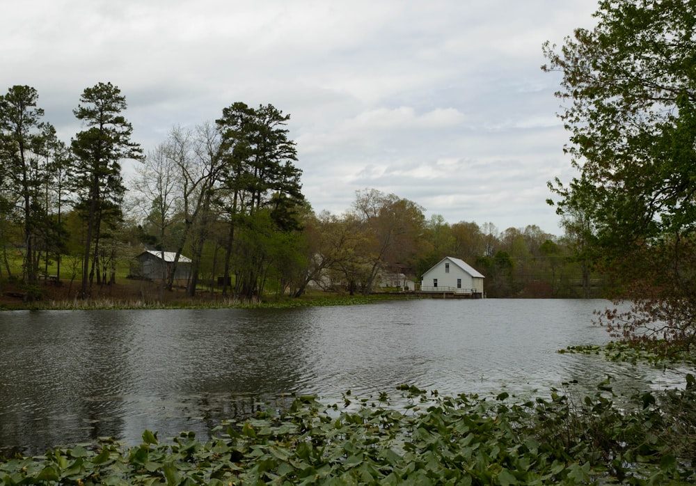 a large body of water surrounded by trees