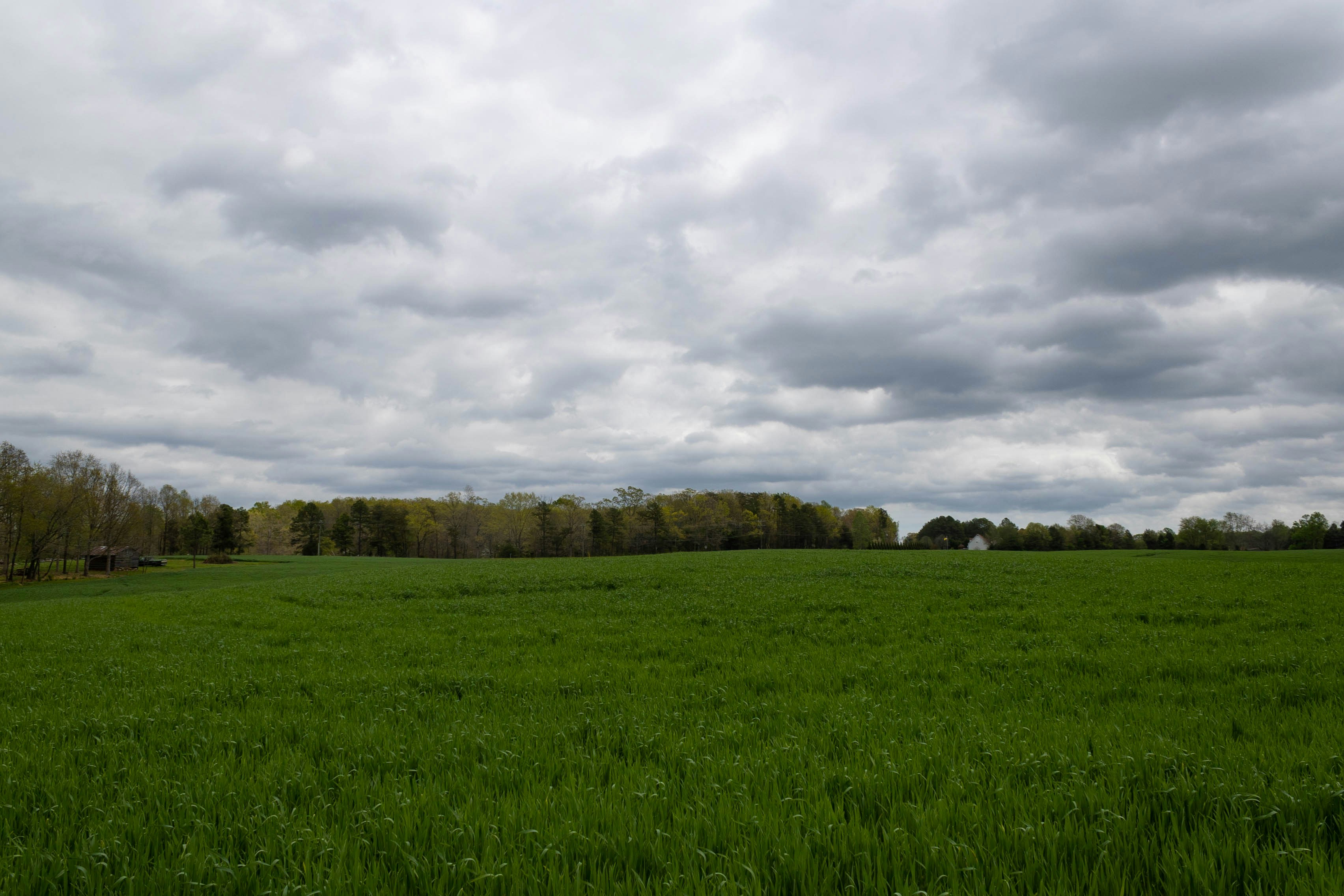 Photo by leslie_outofdoors