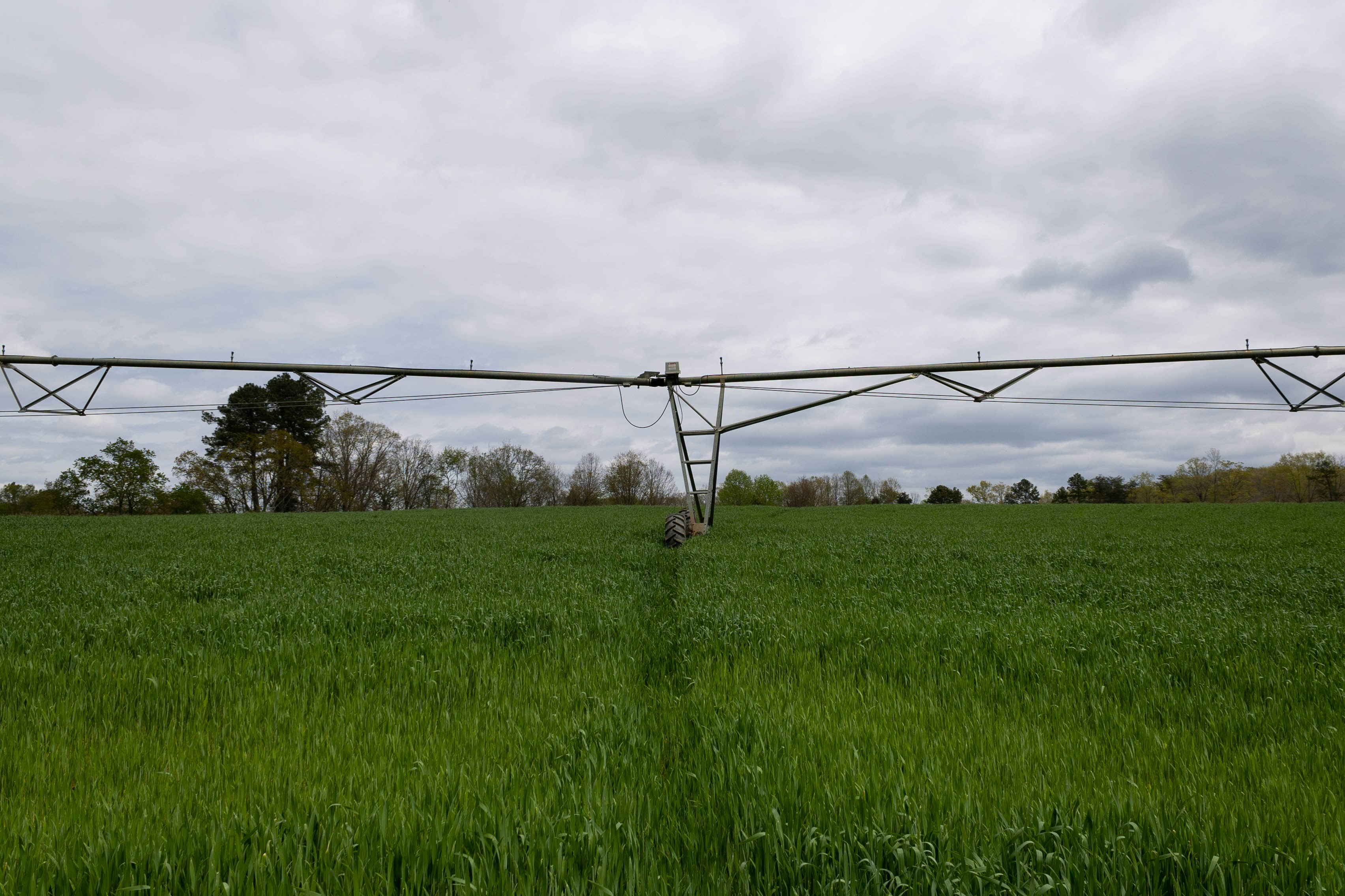 spring irrigation