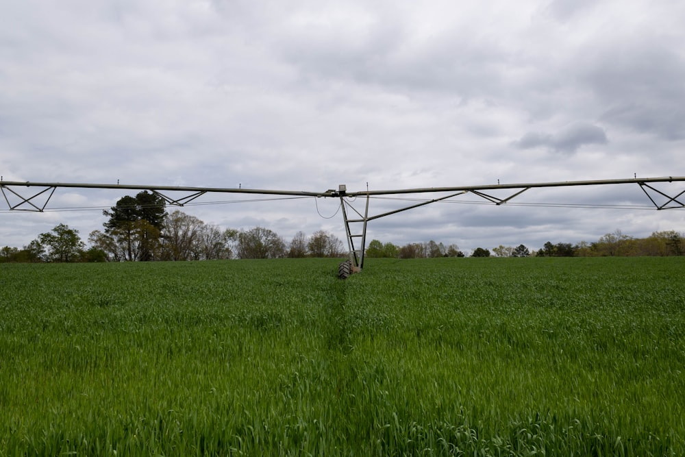 a power line in a field of green grass