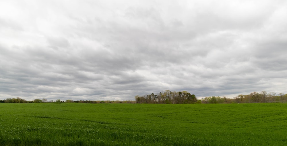 a large field of green grass under a cloudy sky