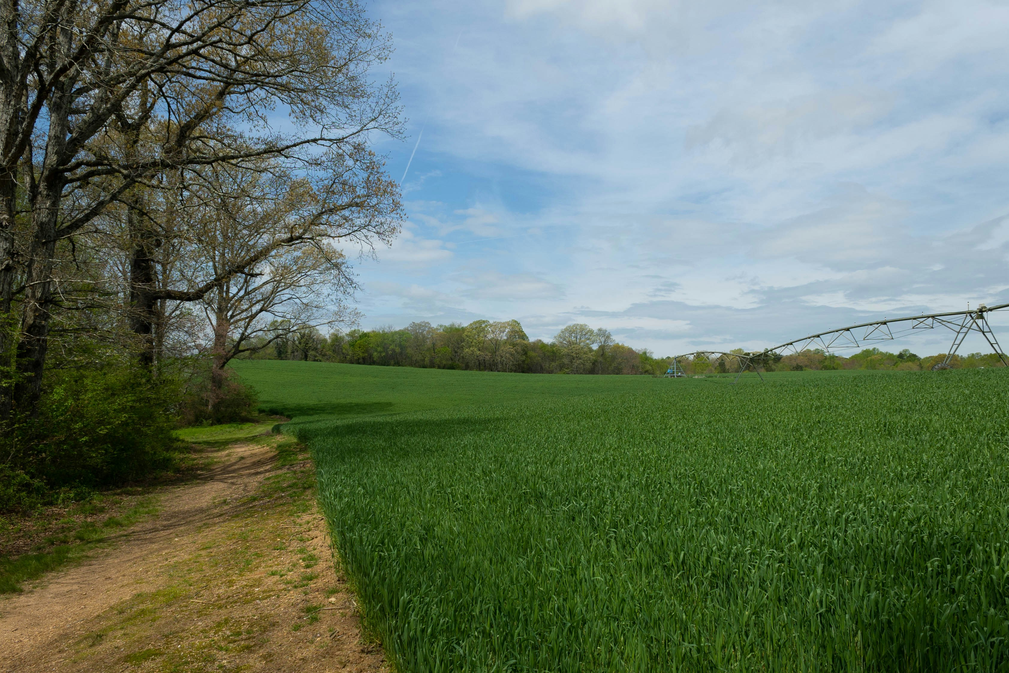 Photo by leslie_outofdoors