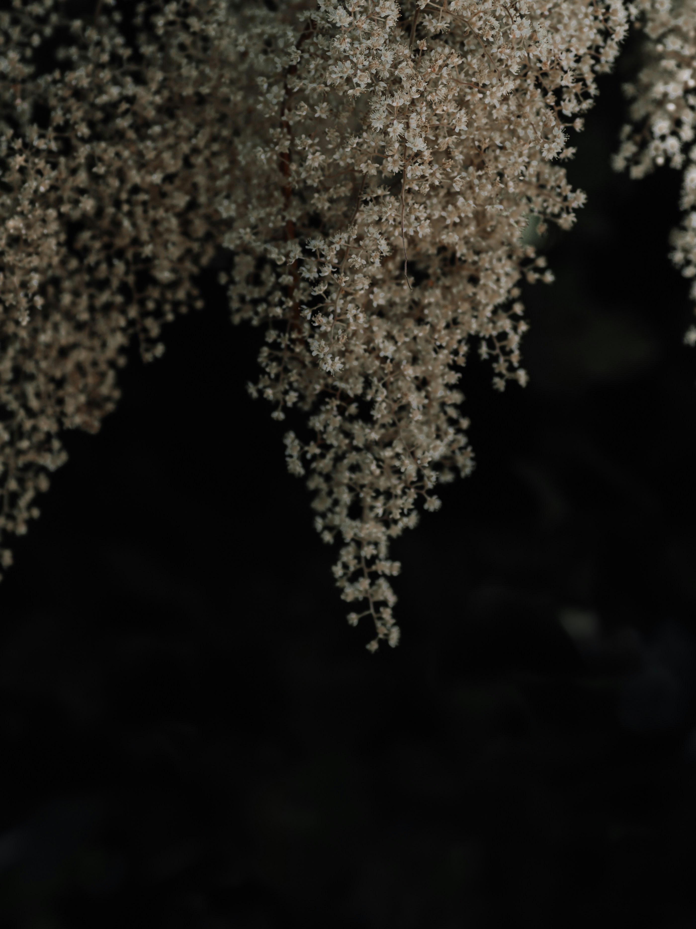 Photo by kierinsightarchives