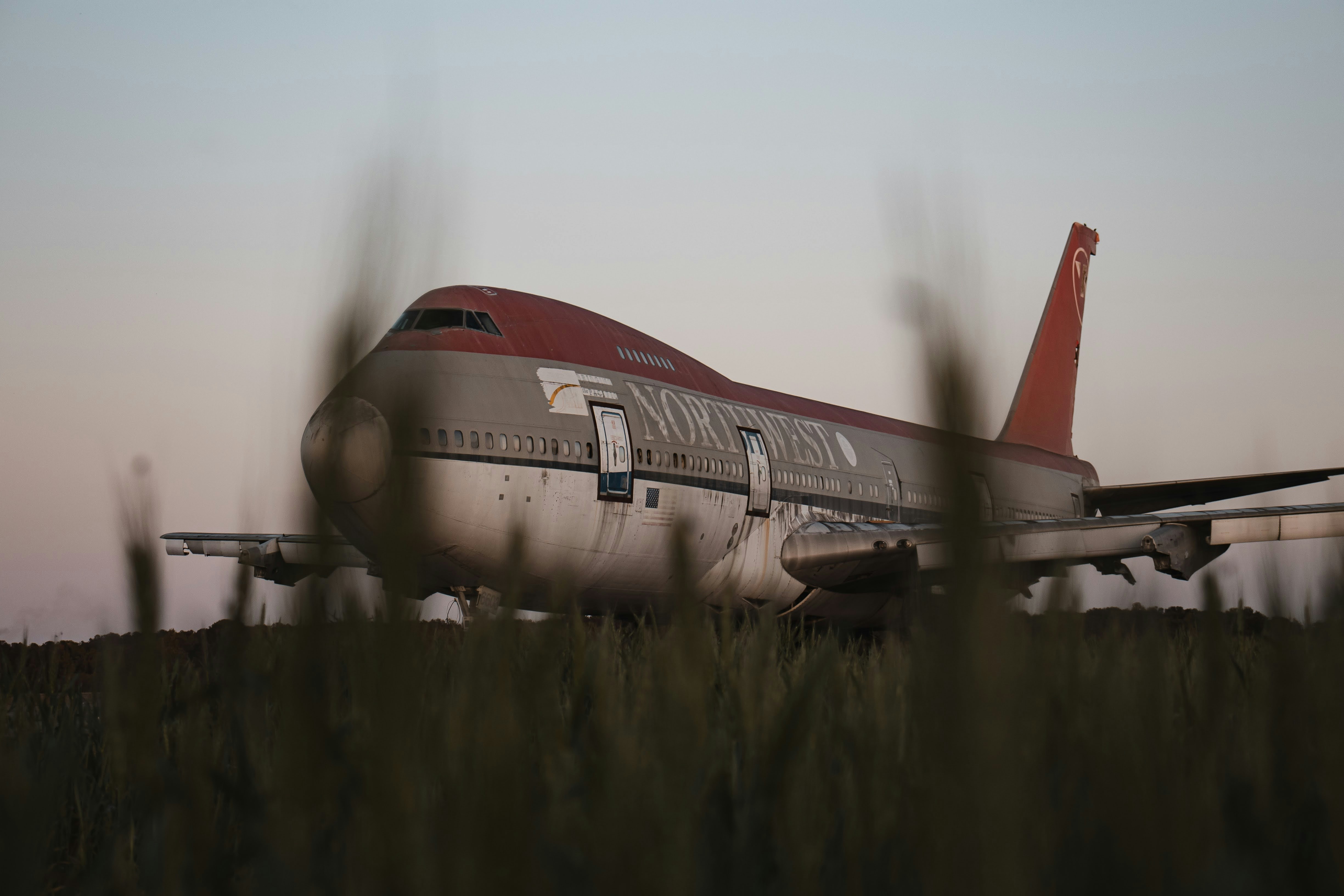 an airplane sitting in a field of tall grass, 