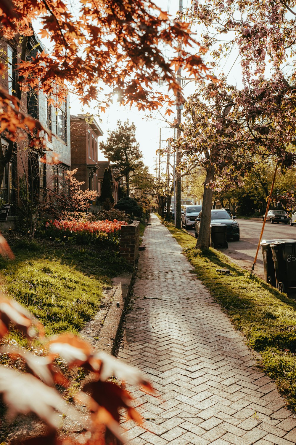 a brick sidewalk in front of a row of houses