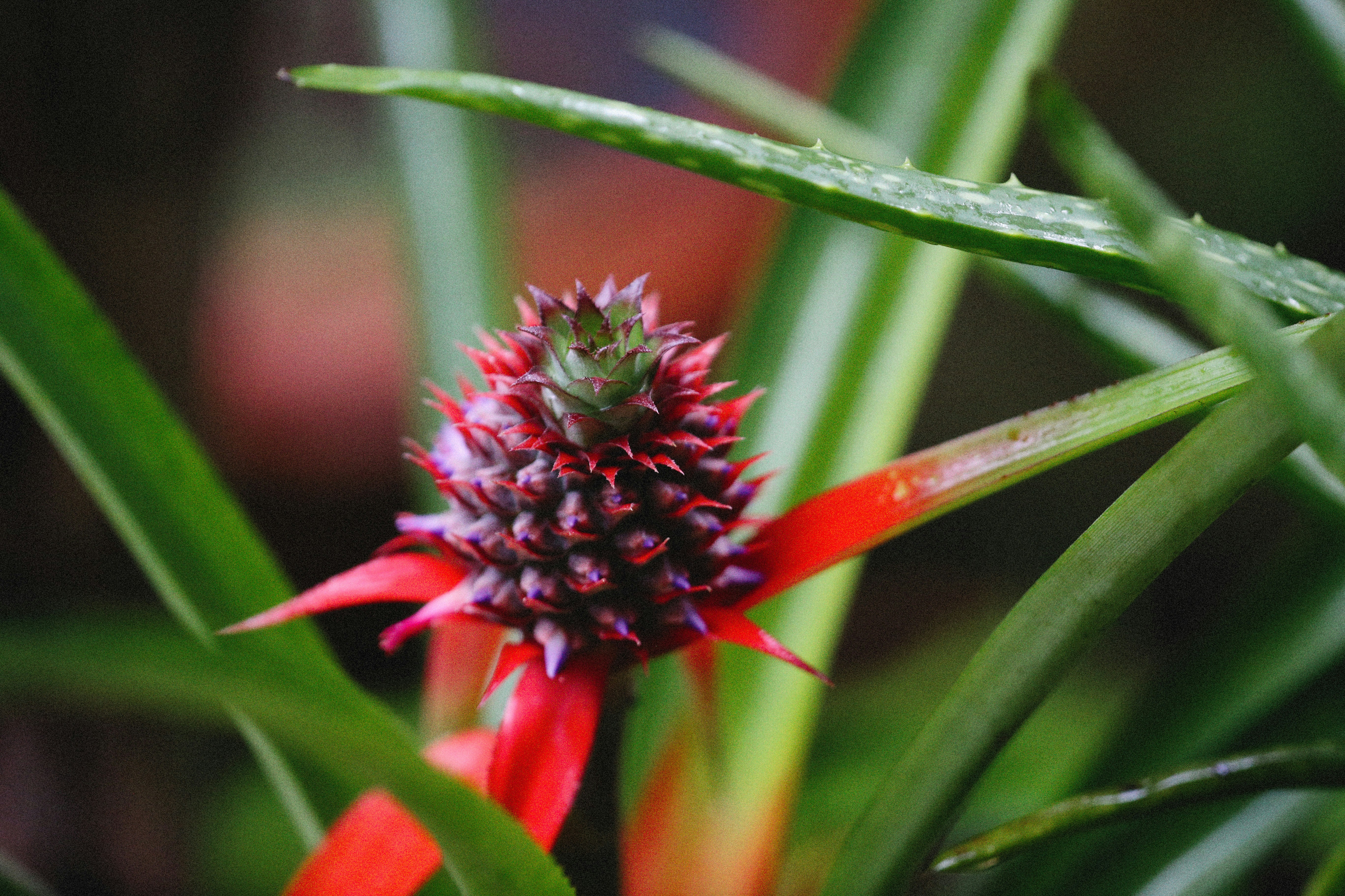 Photo by alexeydemidov