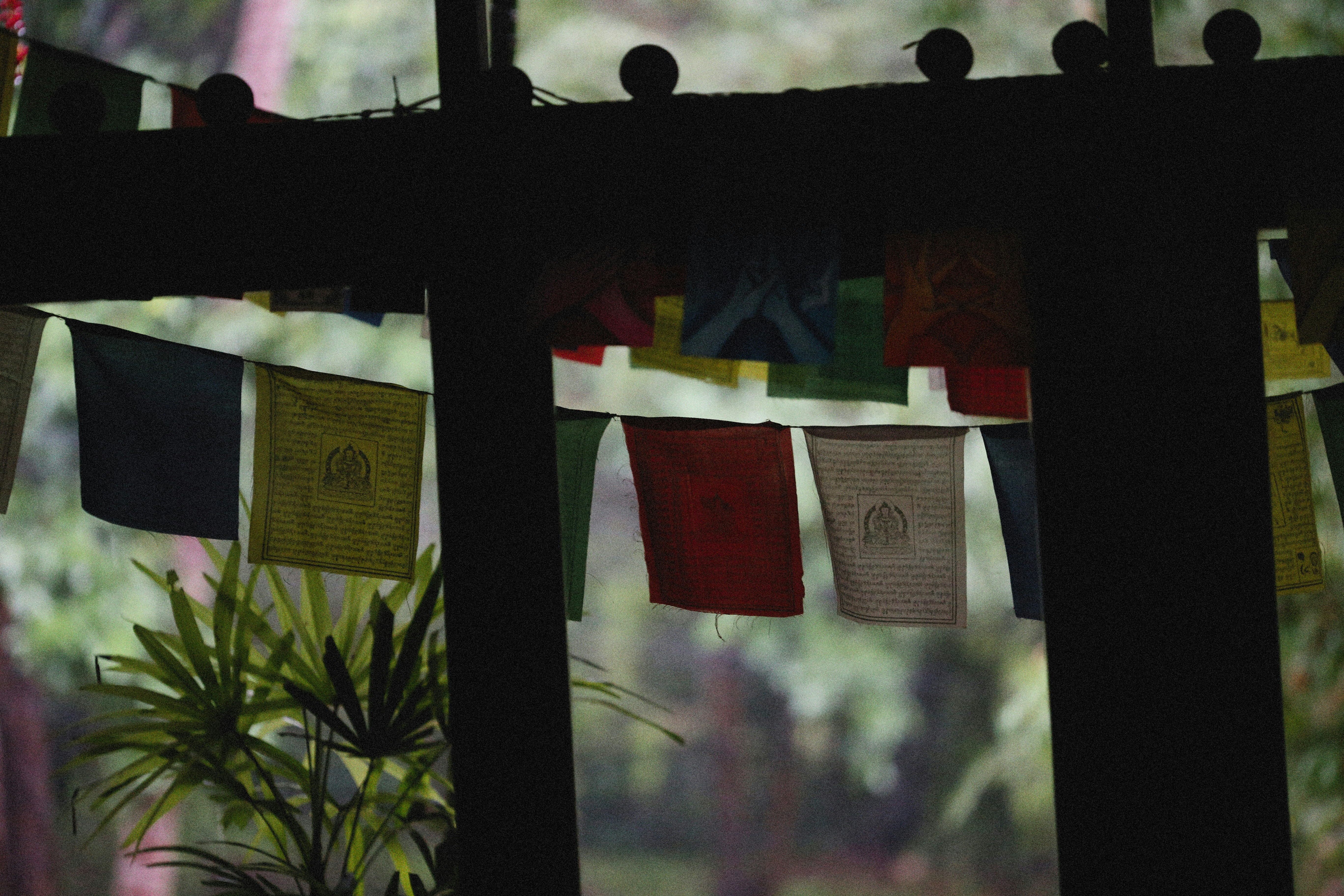 Photo by alexeydemidov