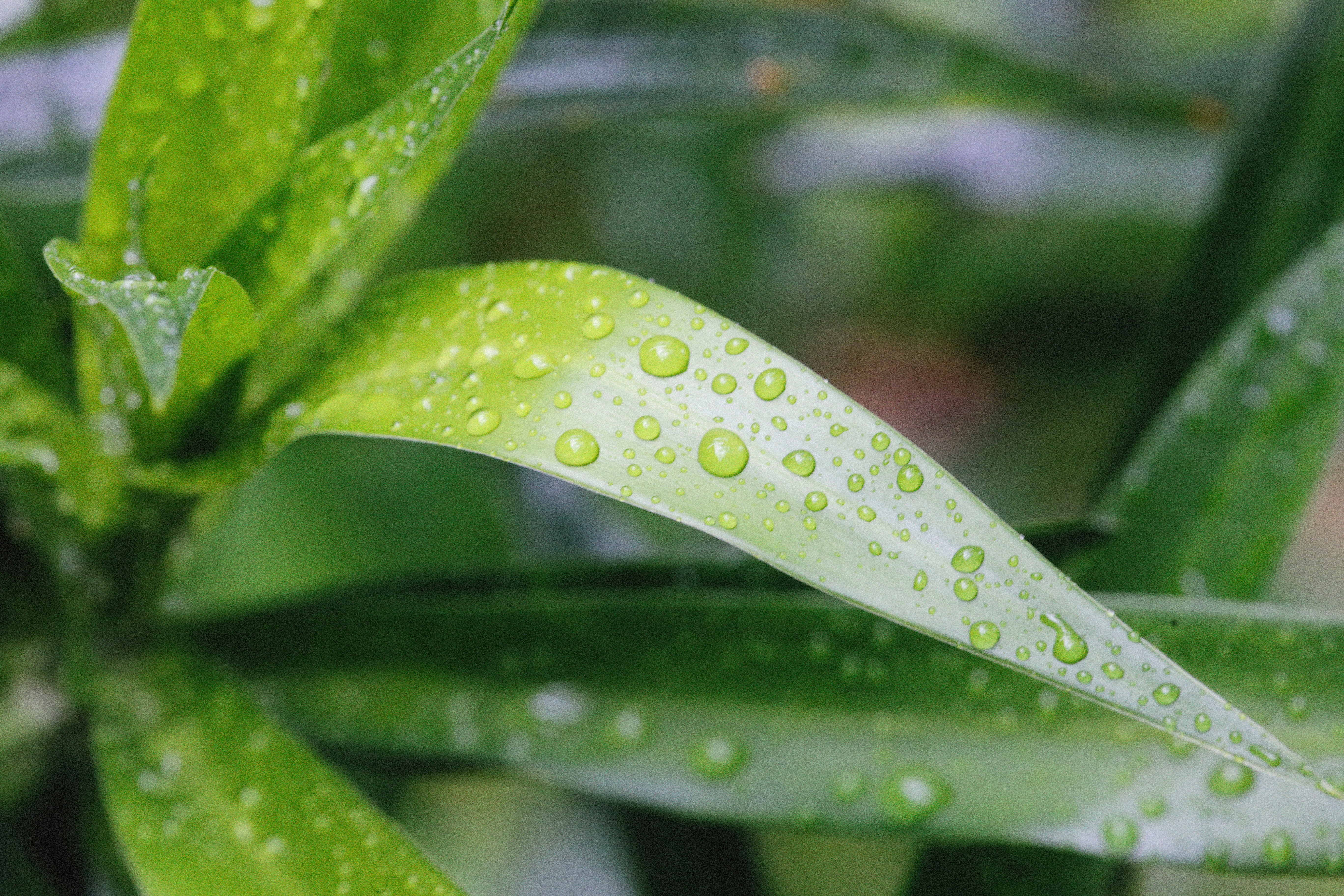 Photo by alexeydemidov