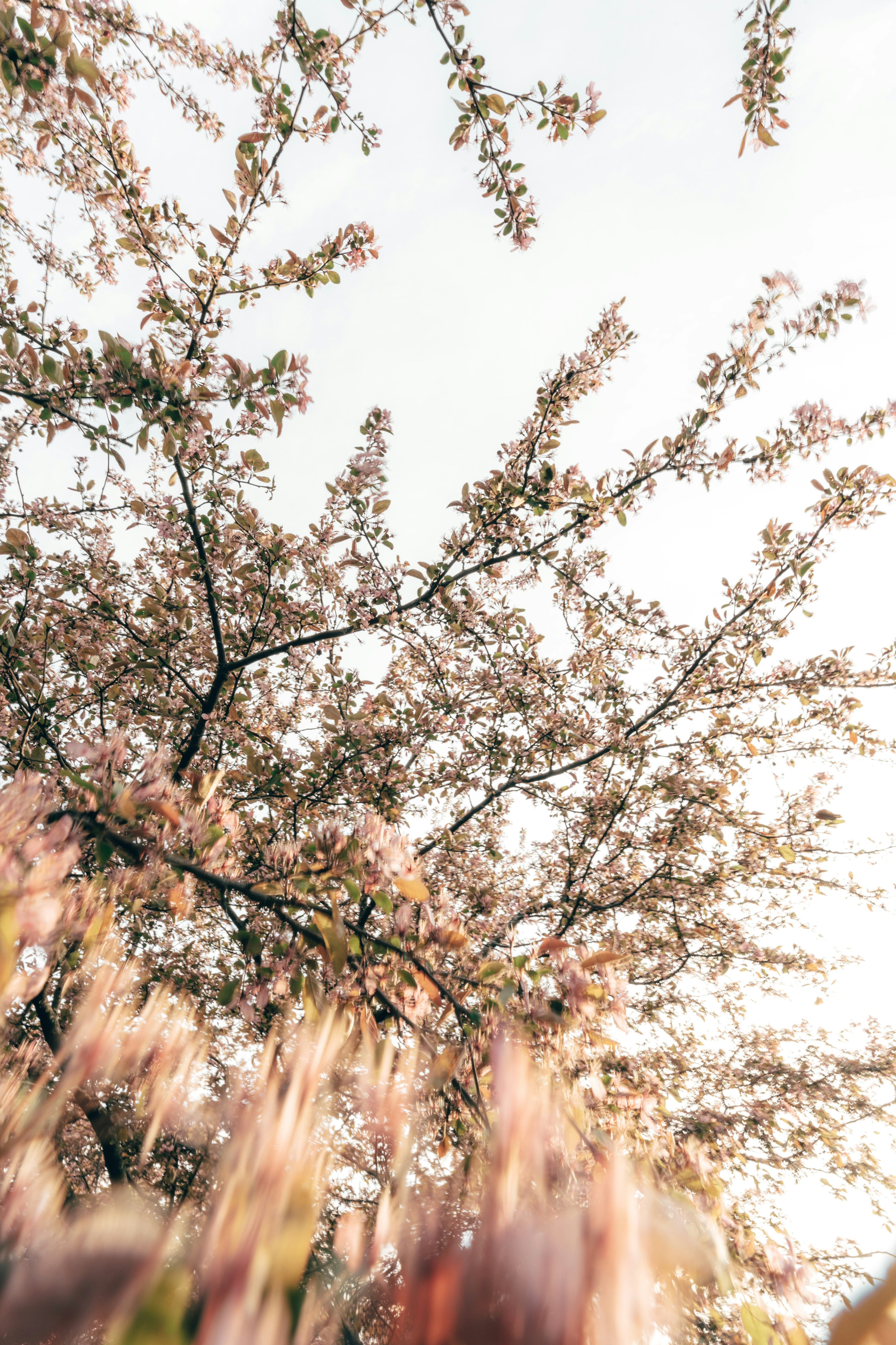 Photo by haroldwainwright