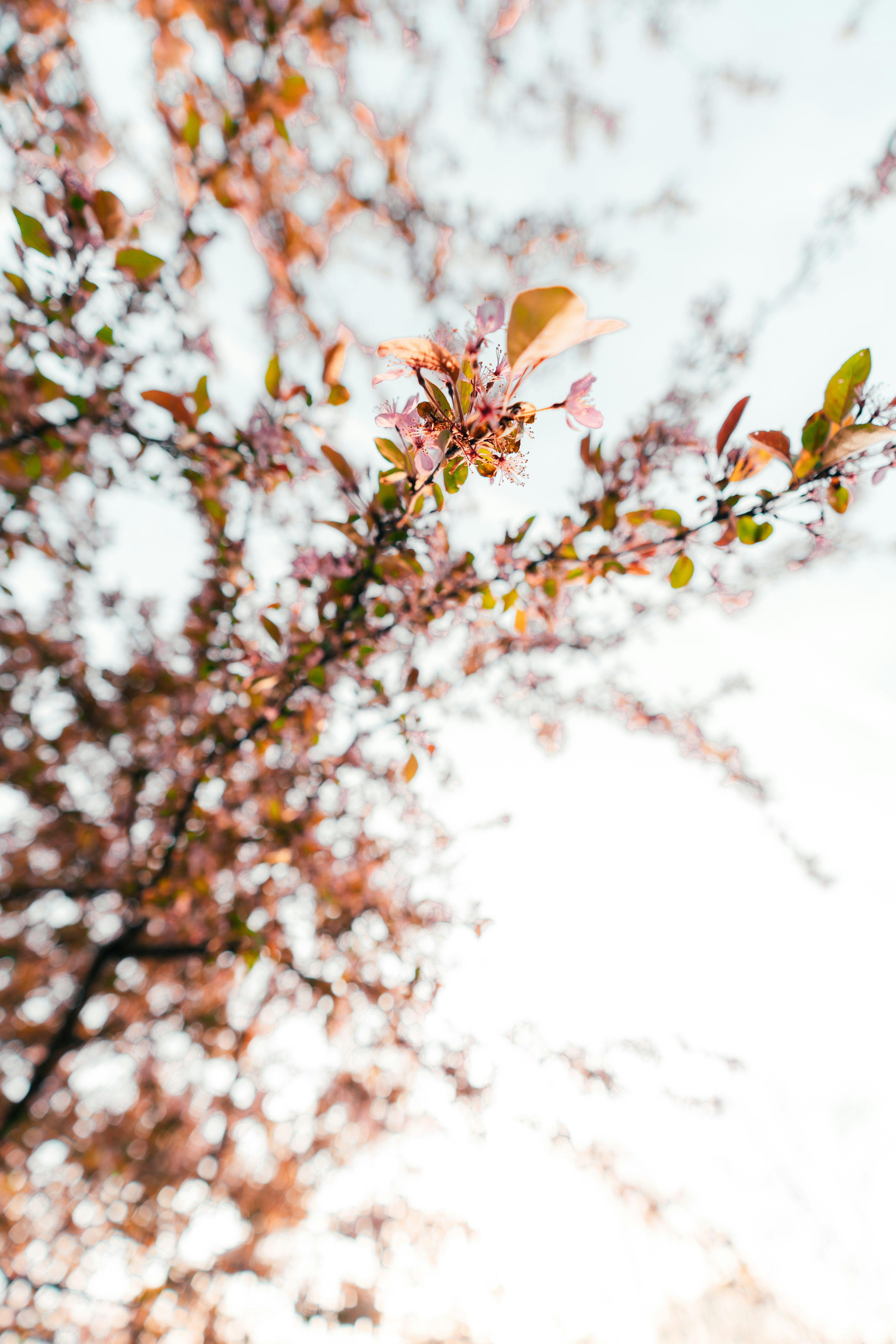 Photo by haroldwainwright