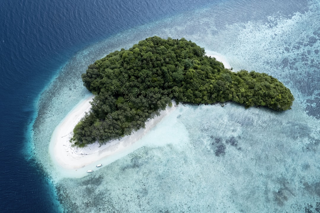 an island in the middle of the ocean, Mios Kon or Bat Island at Raja Ampat. Surface interval between dives at Blue Magic