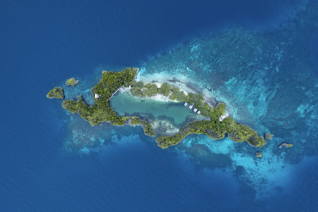 an aerial view of an island in the middle of the ocean, Aerial view to Rufas island near Pyanemo at Raja Ampat.