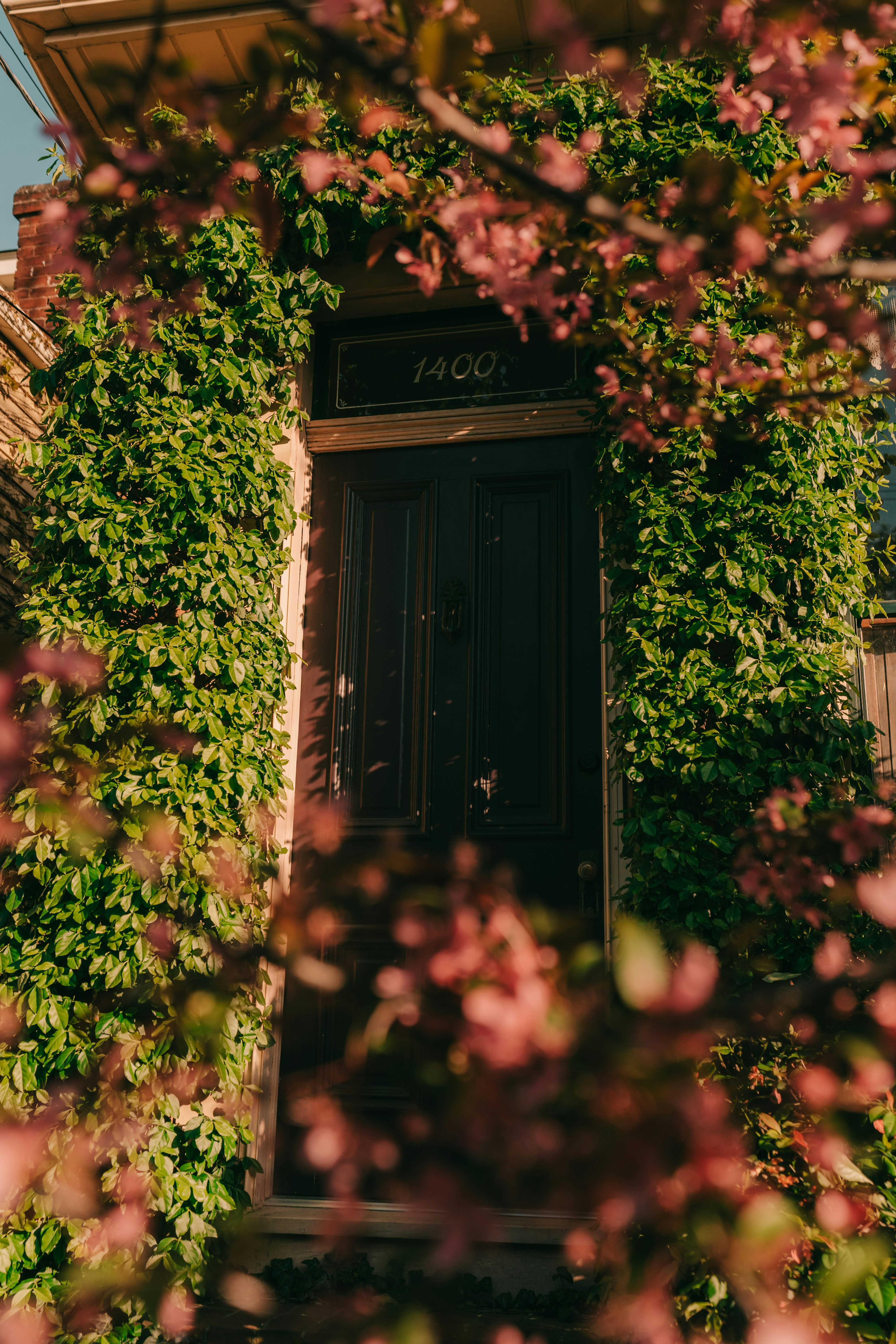 Photo by haroldwainwright