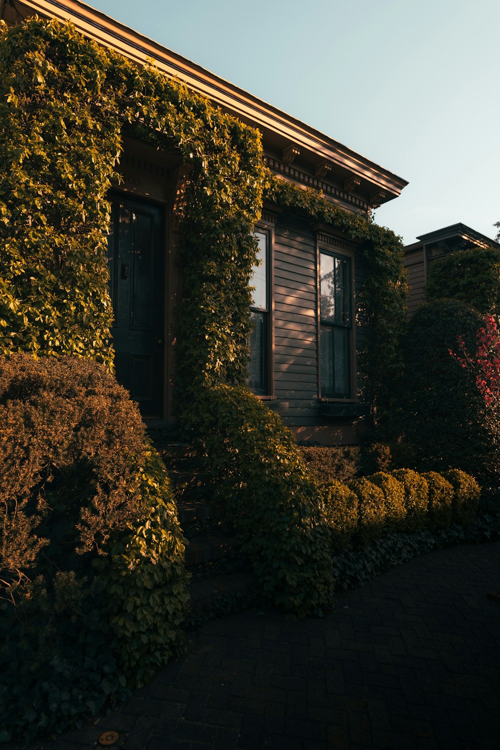 a house covered in green plants next to a sidewalk