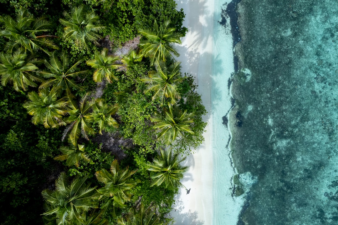 Arial view of tropical white sand beach and palm trees Kri island, Raja Ampat, West Papua.- digital innovation growth consultancy - Photo by Ernests Vaga | de Paula