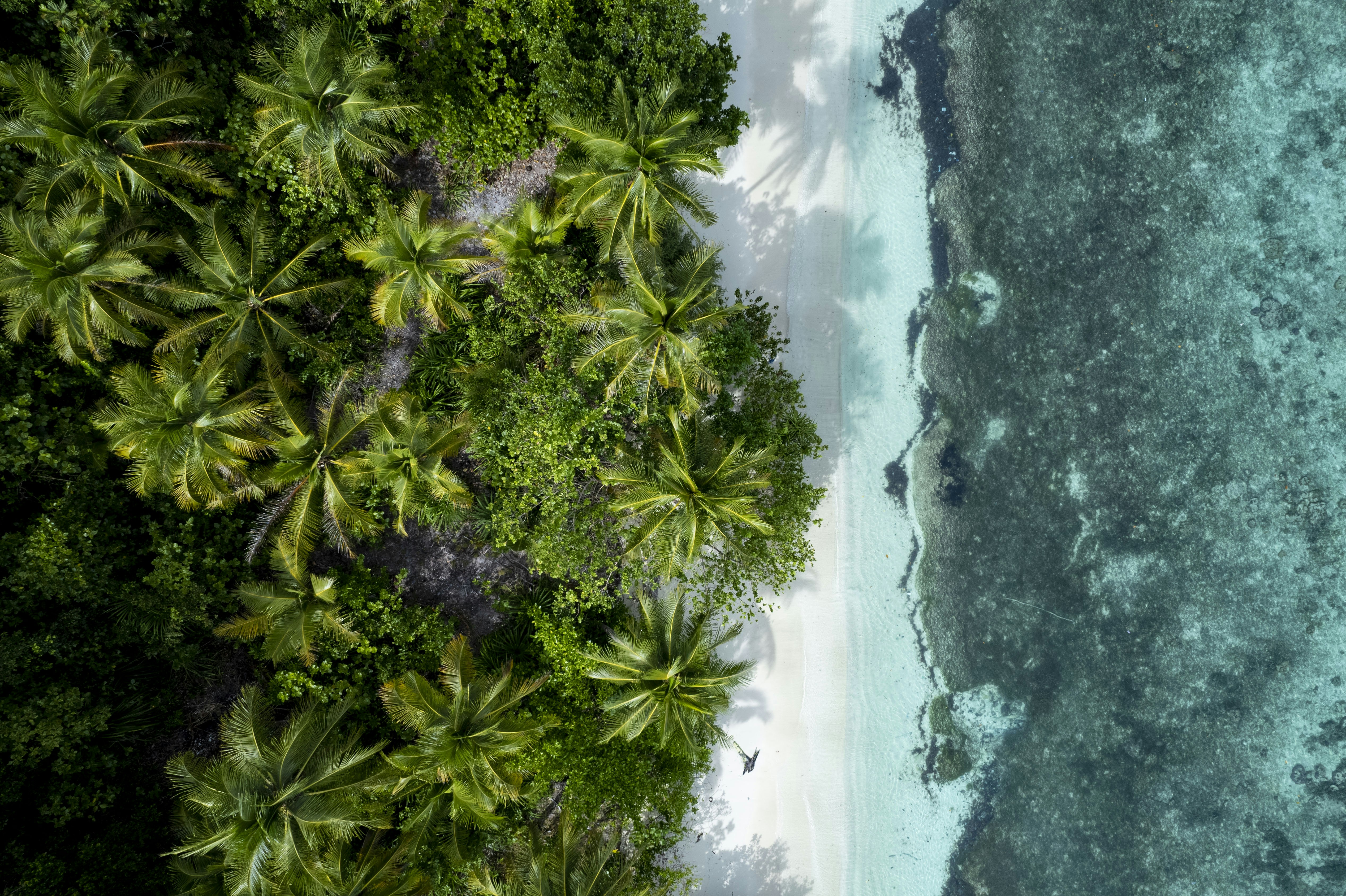 Aerial view on beach at Kri island, Raja Ampat, West Papua.