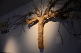 A sculptural installation composed of twisted, gnarled branches and driftwood is mounted on a wall. The shadows cast by the branches create an intricate pattern on the wall, suggesting a natural and organic theme.