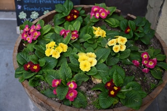 A rustic wooden planter overflowing with vibrant flowers, adding charm to a garden corner.