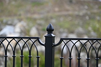 An ornate metal fence with a pointed top finial in the center. The metal is painted black and features decorative curved designs. The background is blurry and consists of natural elements like green and brown hues, suggesting an outdoor setting.