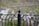 An ornate metal fence with a pointed top finial in the center. The metal is painted black and features decorative curved designs. The background is blurry and consists of natural elements like green and brown hues, suggesting an outdoor setting.