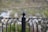 An ornate metal fence with a pointed top finial in the center. The metal is painted black and features decorative curved designs. The background is blurry and consists of natural elements like green and brown hues, suggesting an outdoor setting.