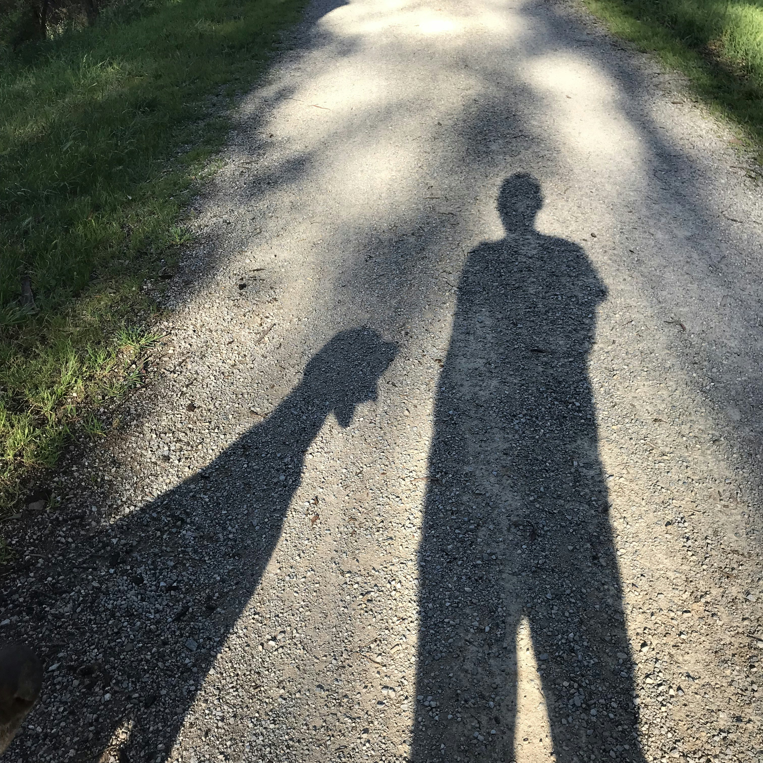 a shadow of a person standing on a road