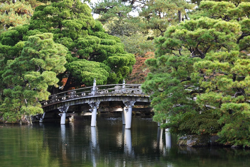 a bridge over a body of water surrounded by trees