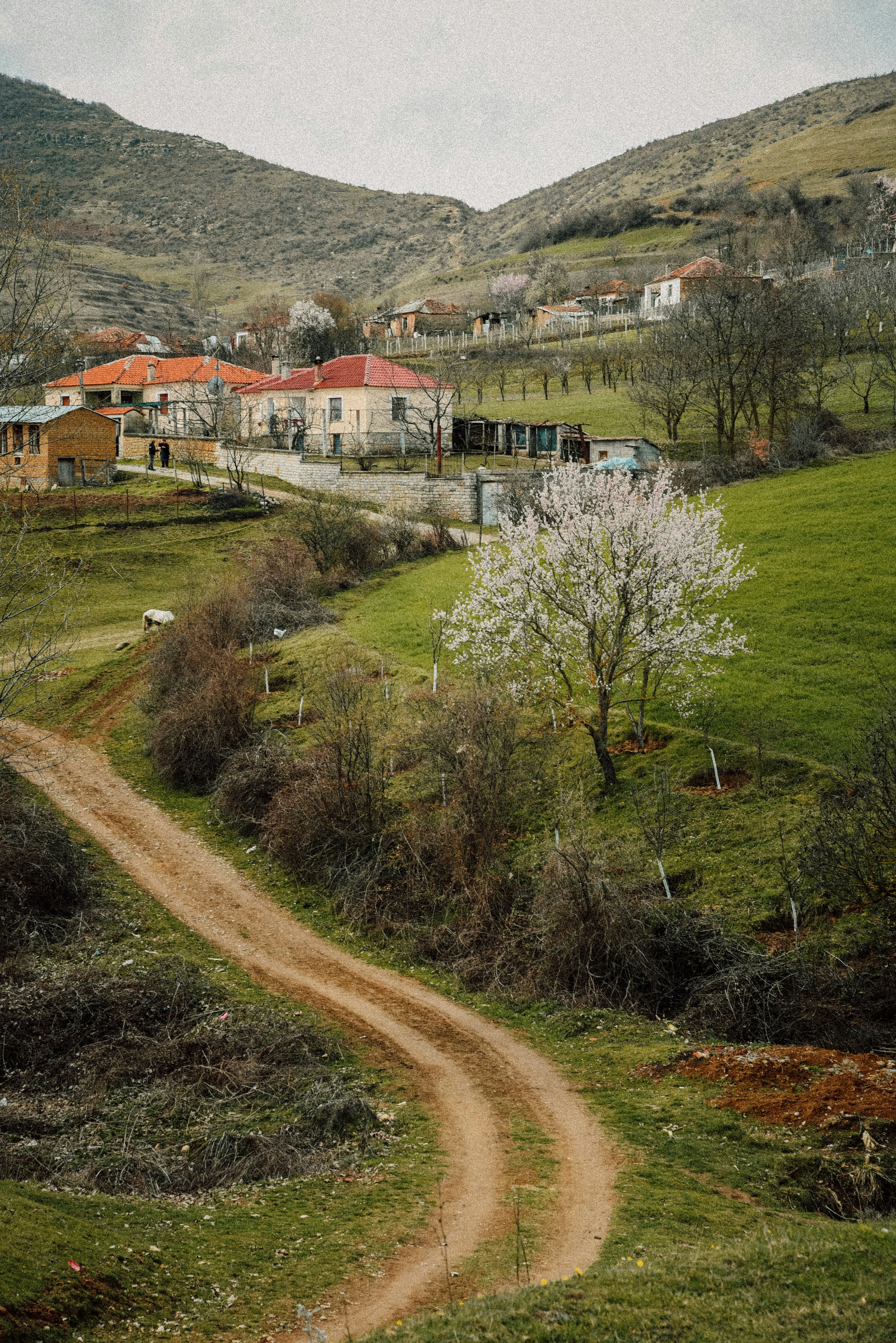 The Blue Eye Spring in Albania