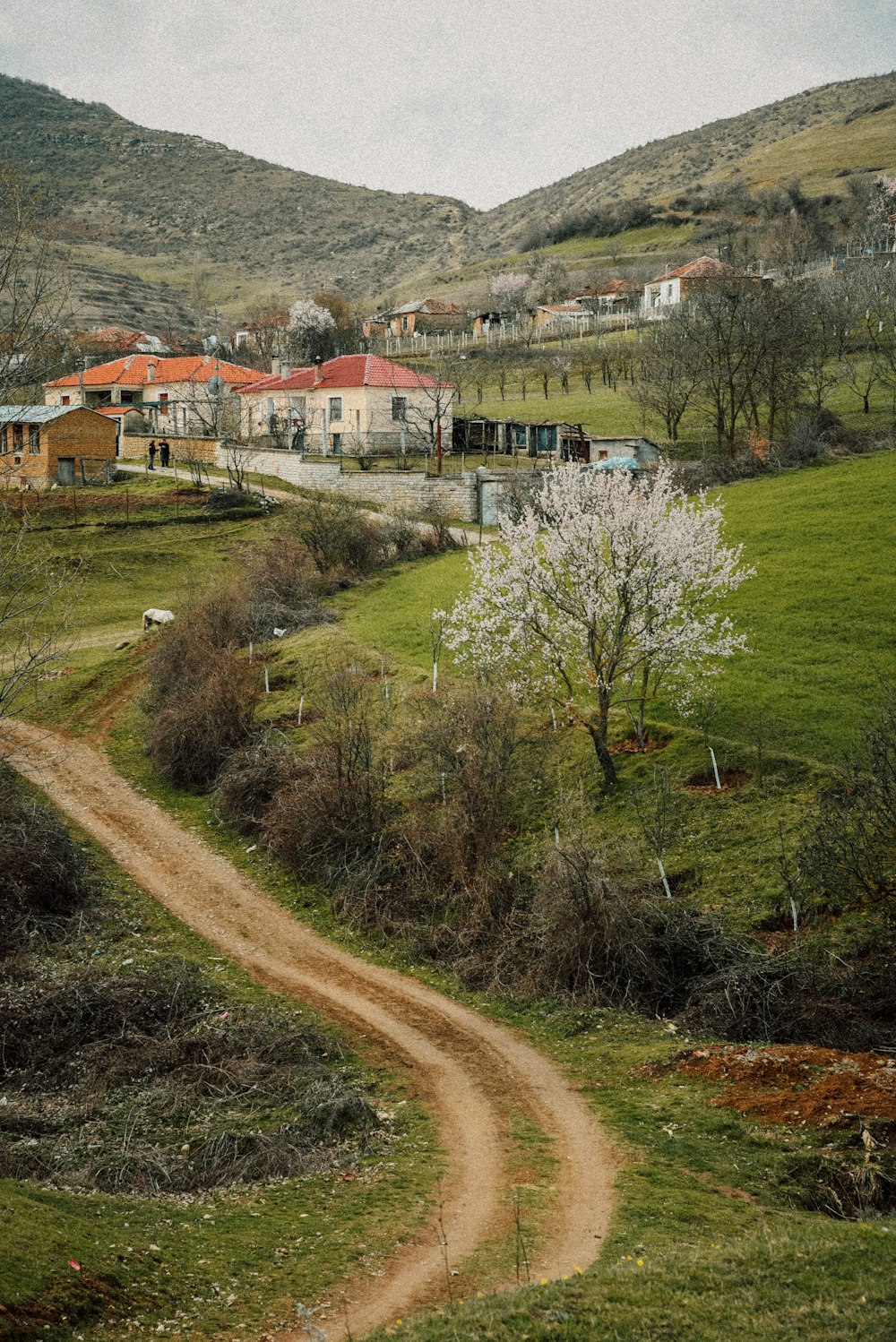 a dirt road going through a lush green countryside